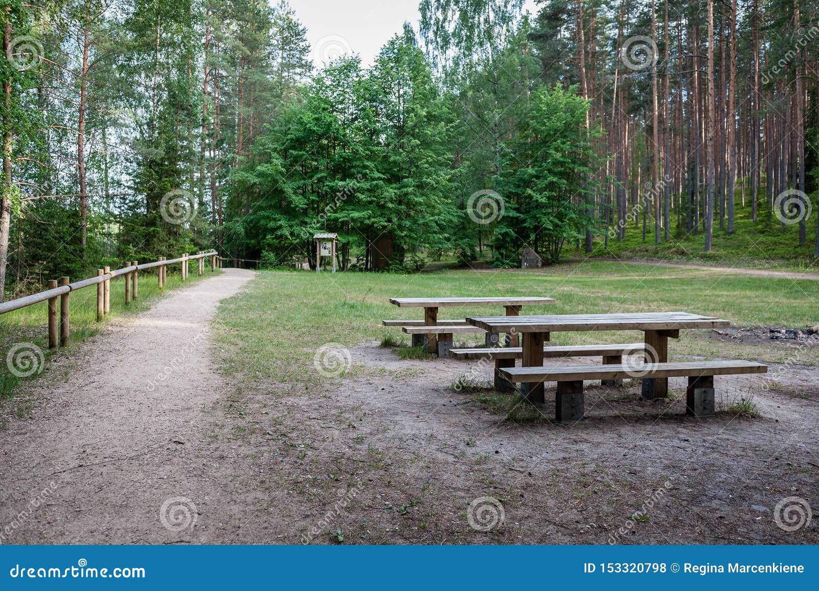 Picnic Place In Forest With Tables And Benches On A Walking Path