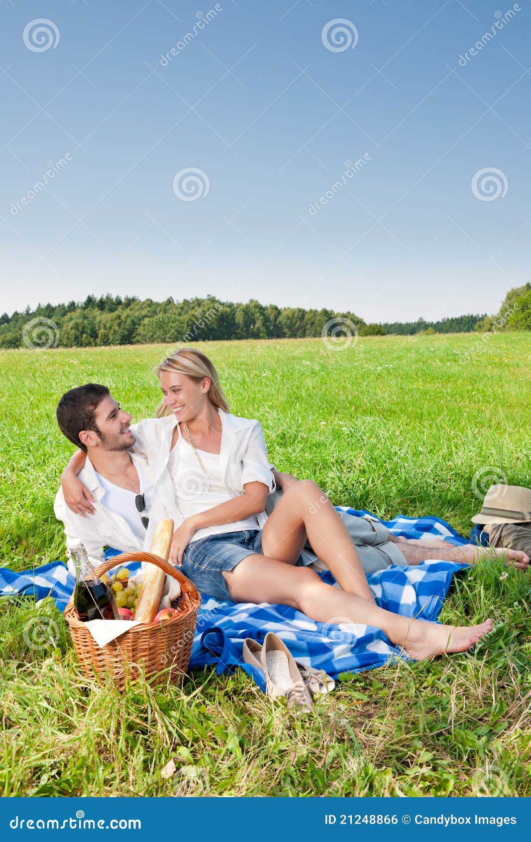 Picnic Romantic Couple in Sunny Meadows Stock Photo Image of
