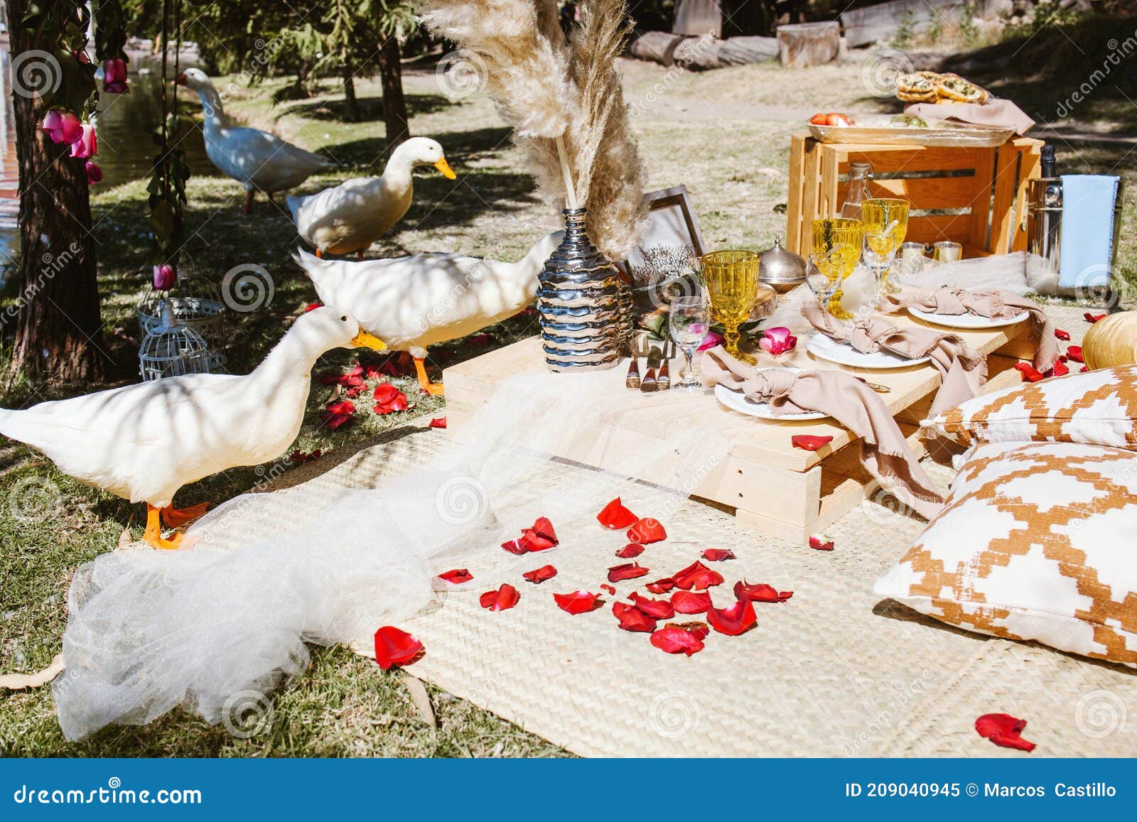 Picnic for a Romantic Date in Valentines Day in a Forest and Lake in
