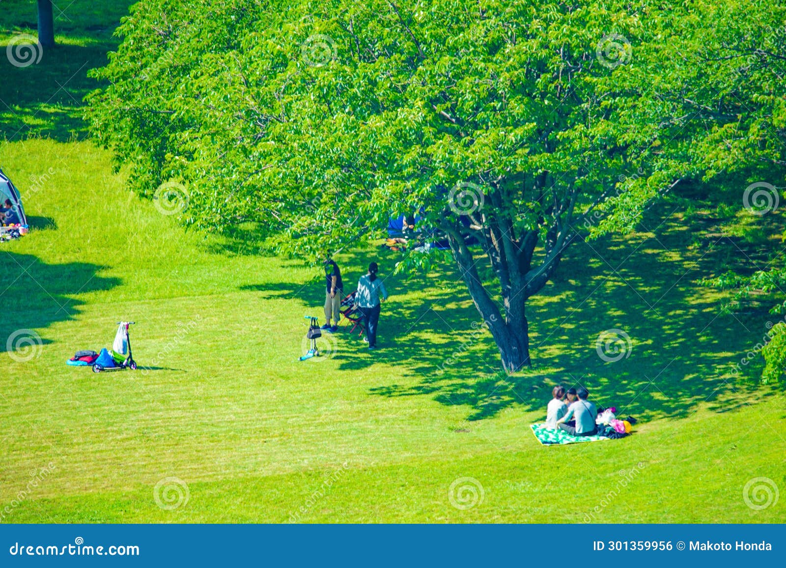 Picnic areas near me