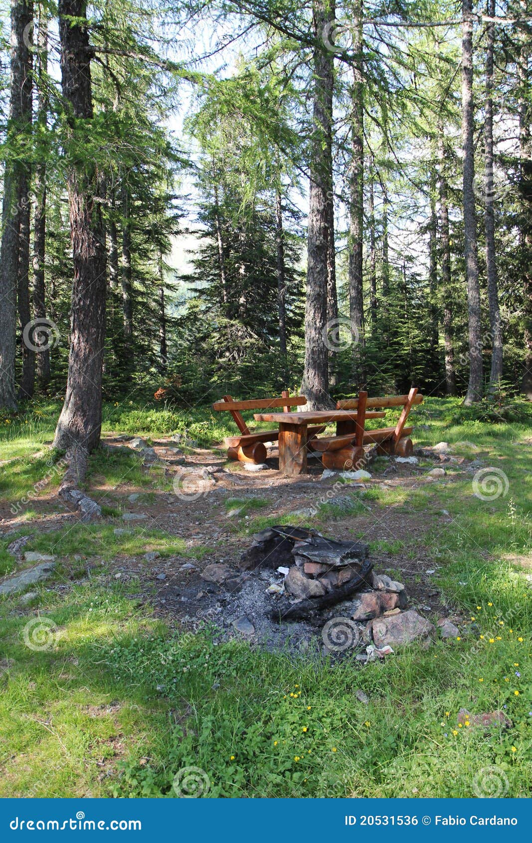 Picnic site stock photo. Image of park, leisure, rest 20531536