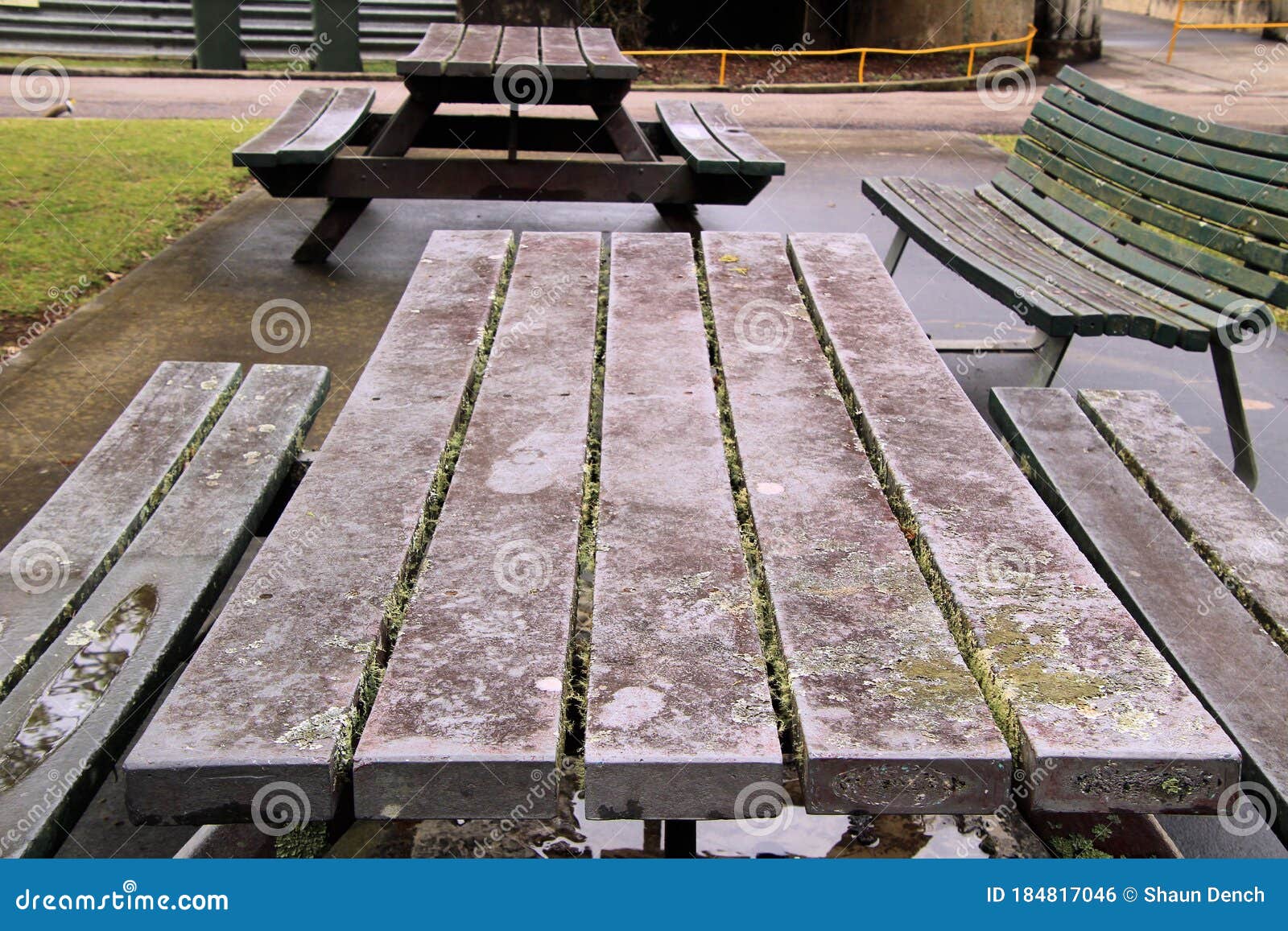 picnic spot with tables and bench seats overgrown with lichen