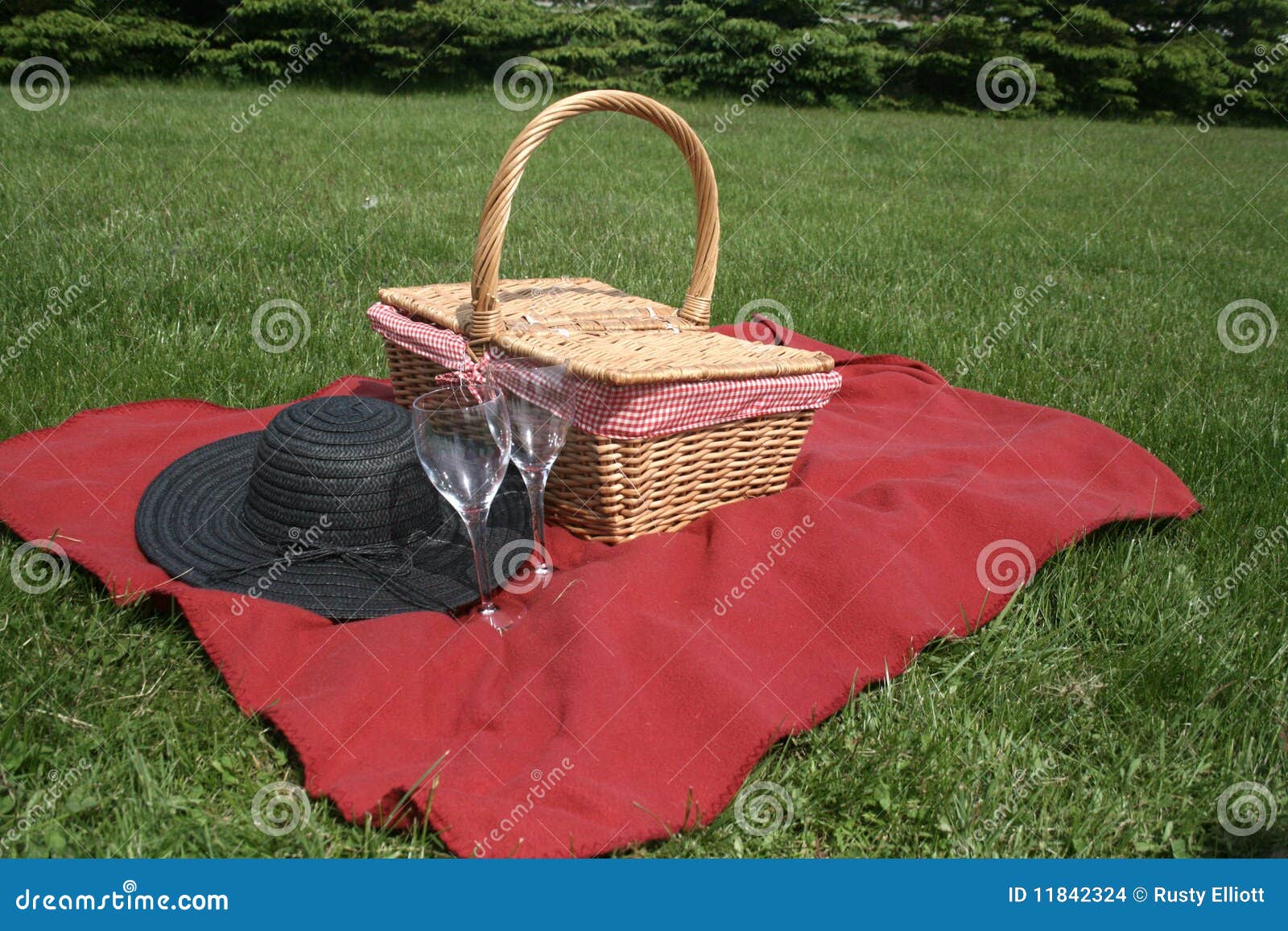 Picnic Supplies stock photo. Image of green, wicker, meadow 11842324