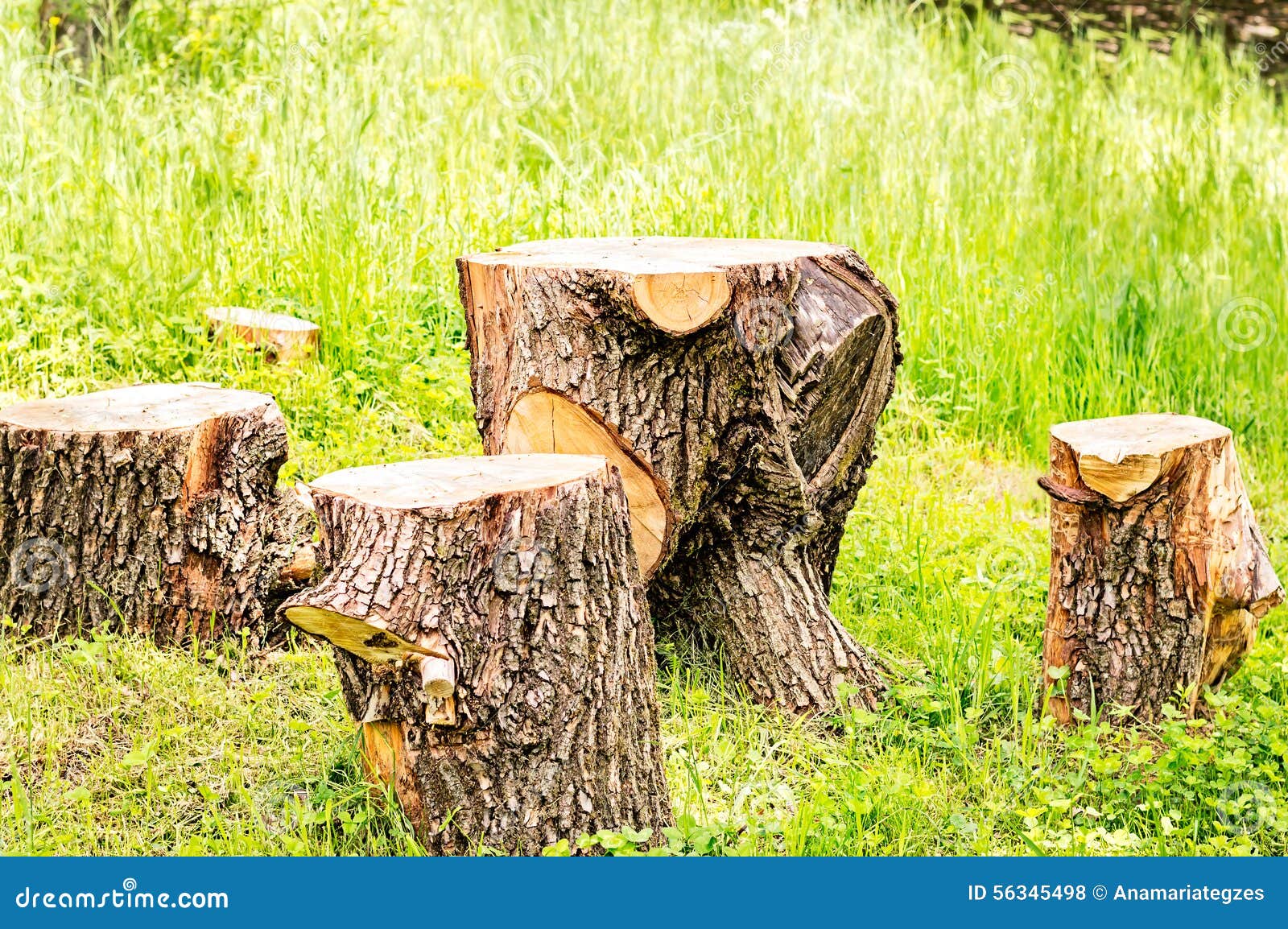 Picnic Table and Chairs stock photo. Image of lateral 56345498