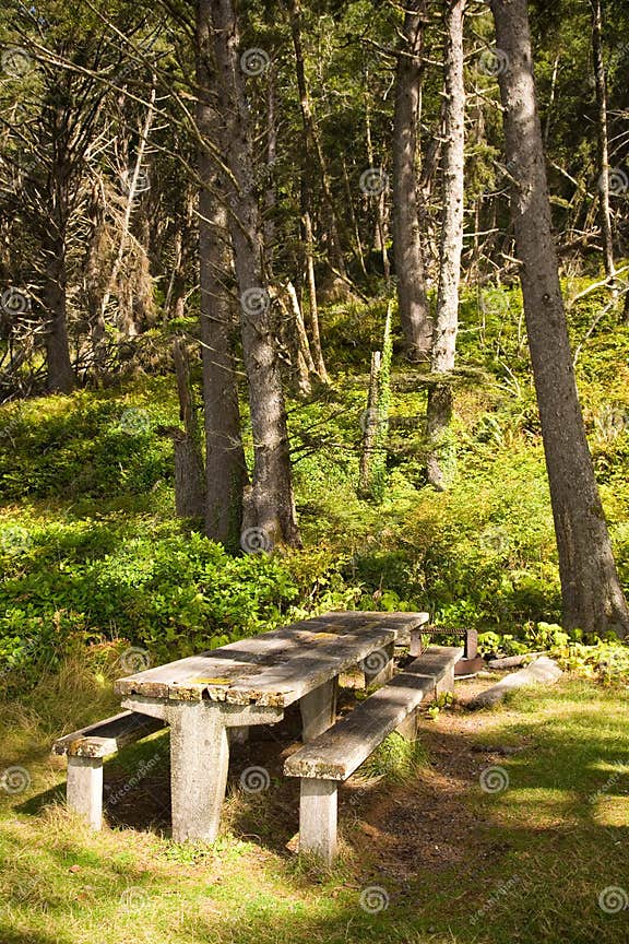 Picnic Table in Forks Washington Stock Image Image of plants, table