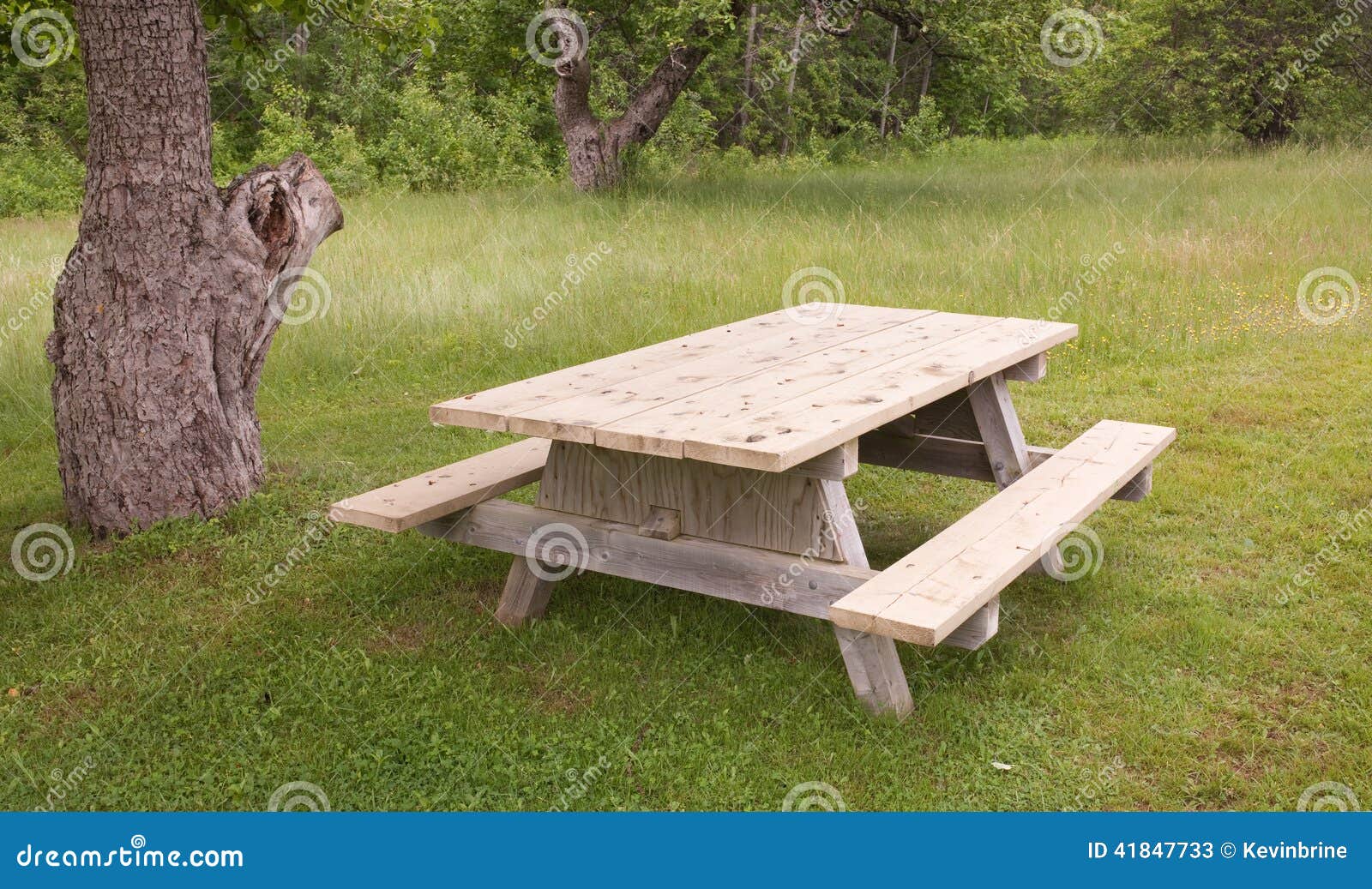 download grounded picnic table for free download grounded picnic table for free