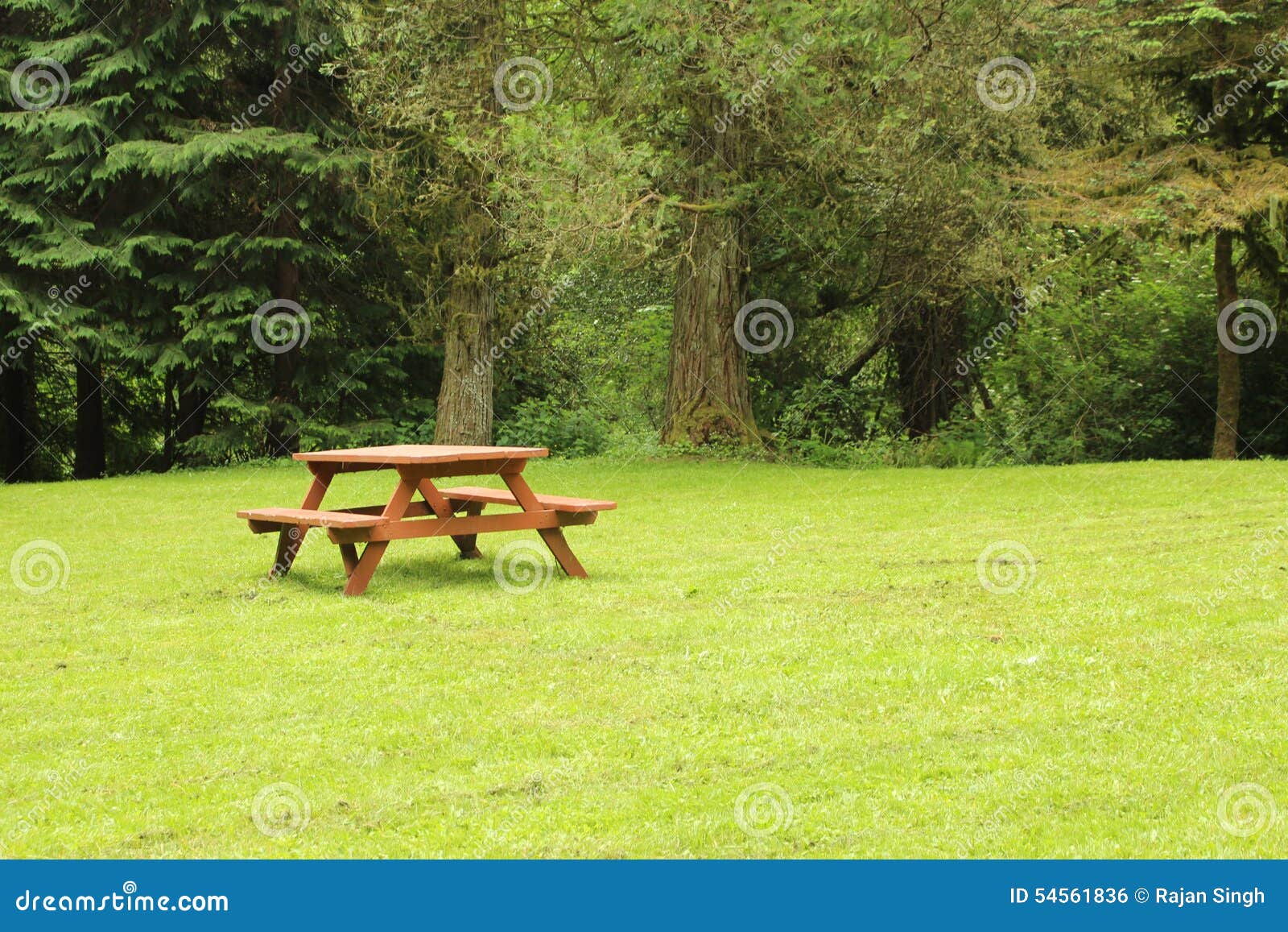 Picnic table green field stock photo. Image of garden 54561836