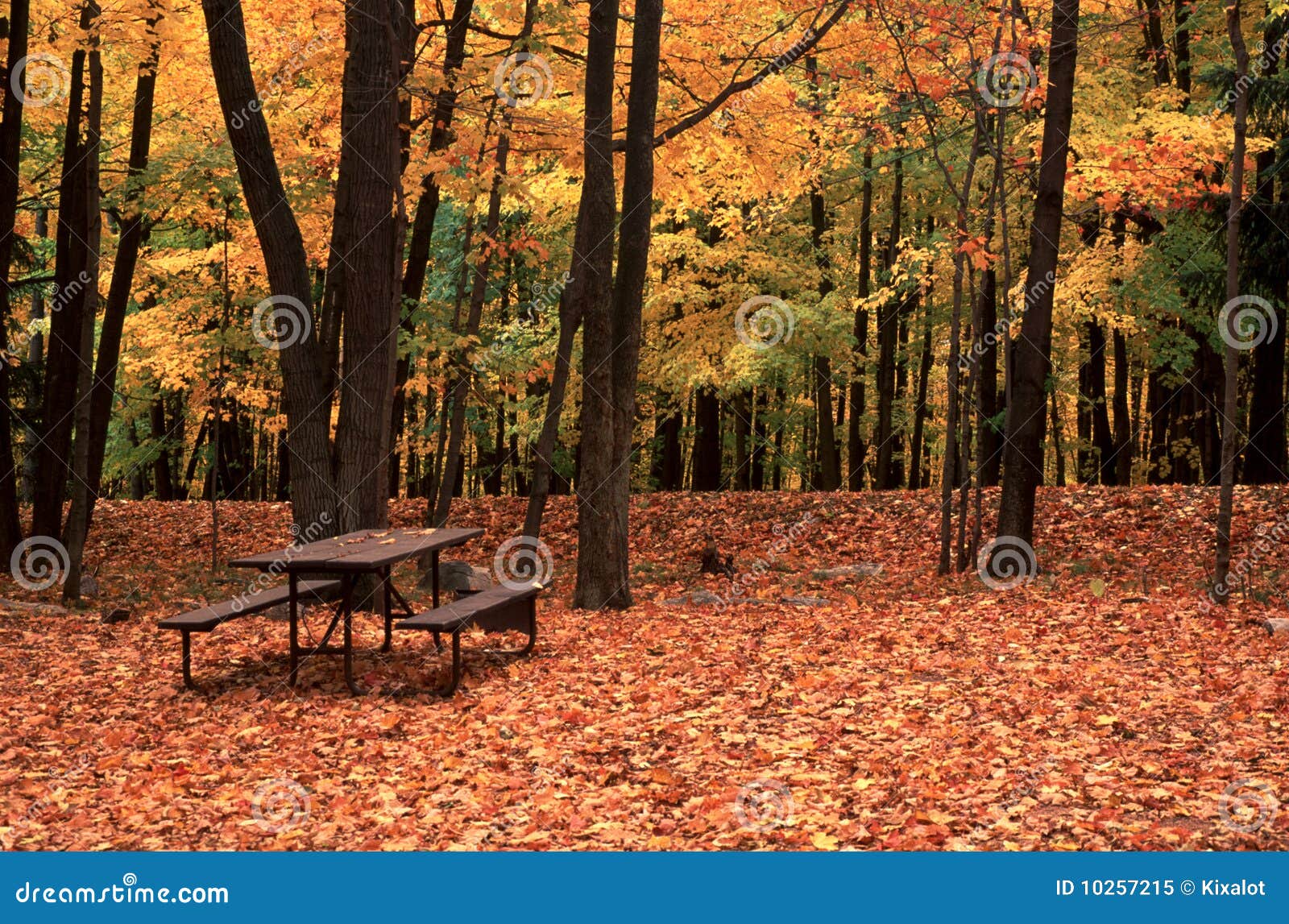 Picnic Table on Rib Mountain State Park, WI Stock Image Image of