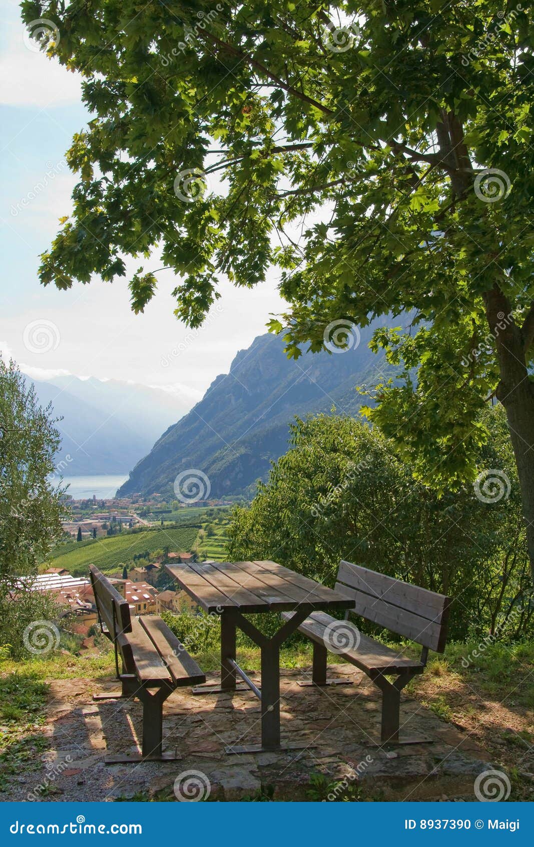 Picnic table under tree stock photo. Image of landscape 
