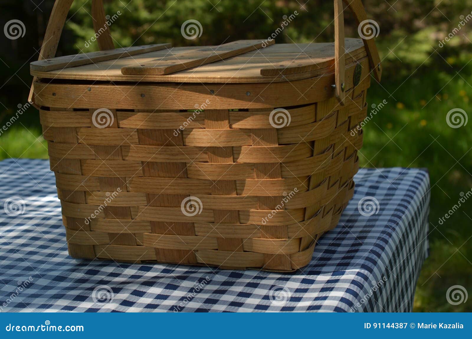 Picnic Table with Vintage Picnic Basket, Blue Checked Table Cloth Stock