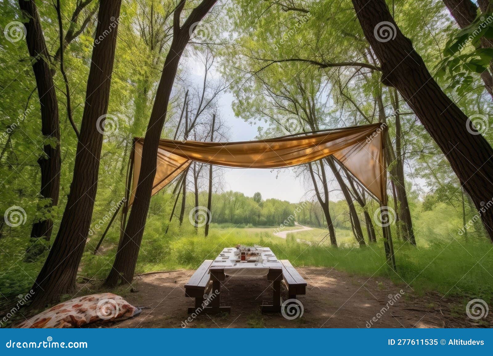 Picnic Under Canopy of Trees with a View of the Forest Stock