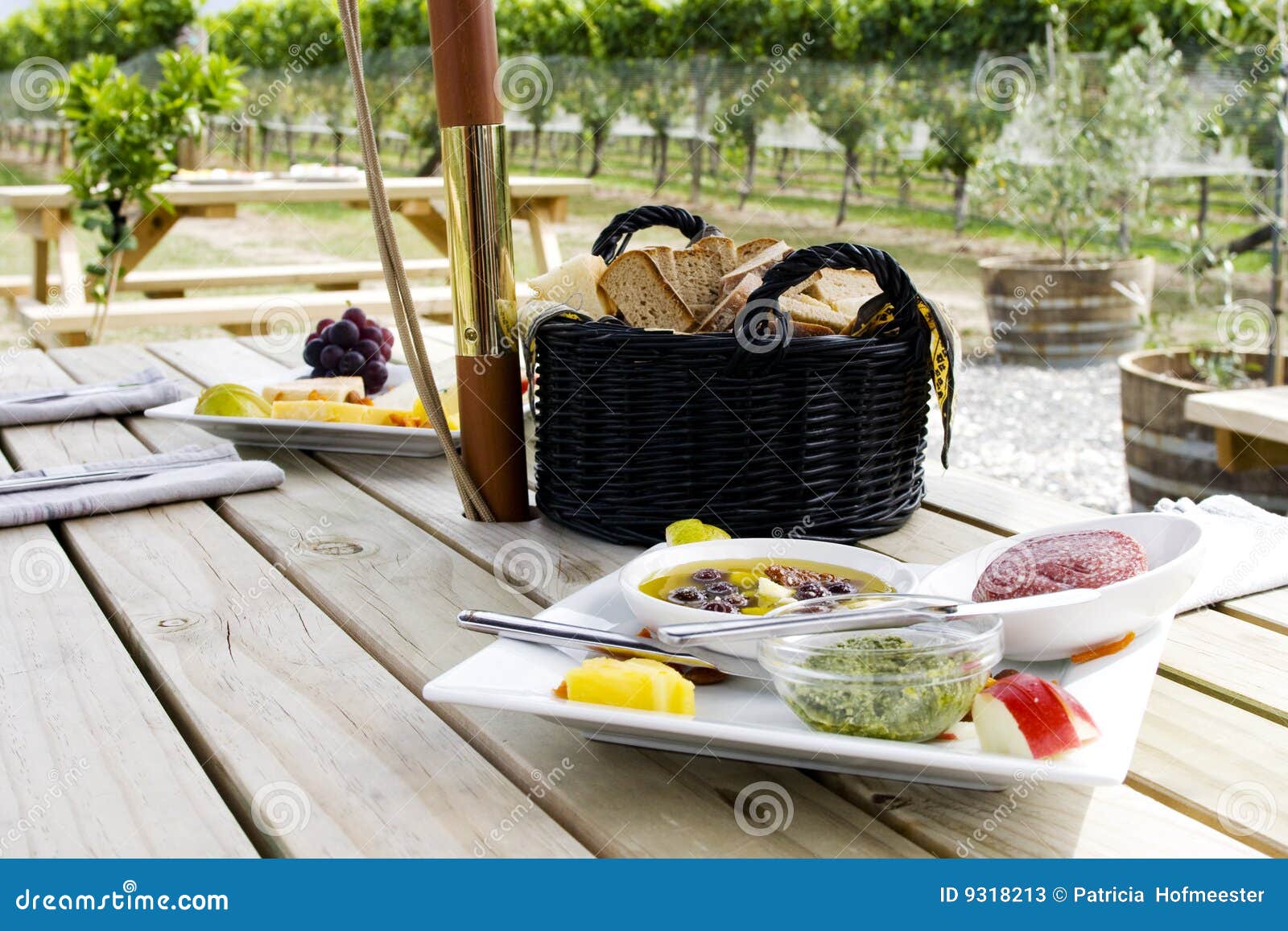Picnic in vineyard with bread, olives and sausage.