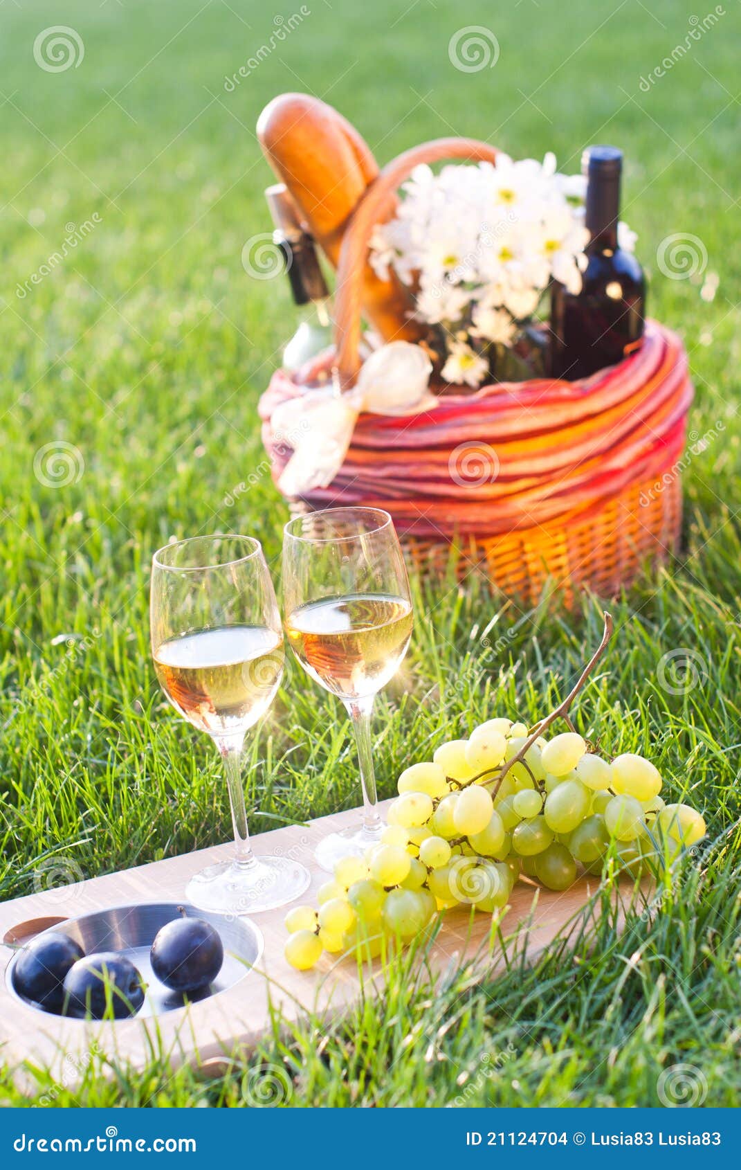 Picnic with White Wine on the Grass Stock Photo Image of lunch