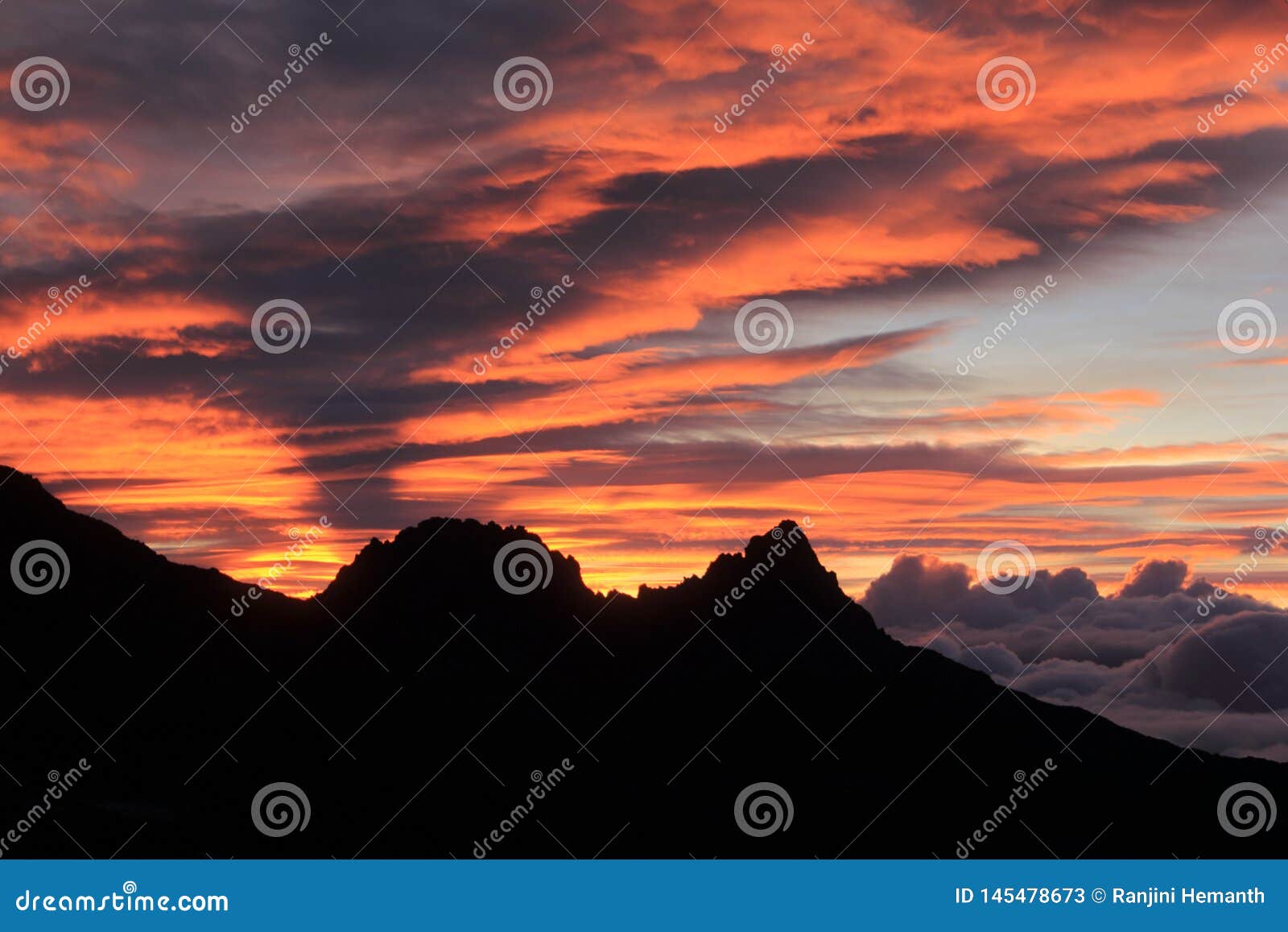 pico el ÃÂguila