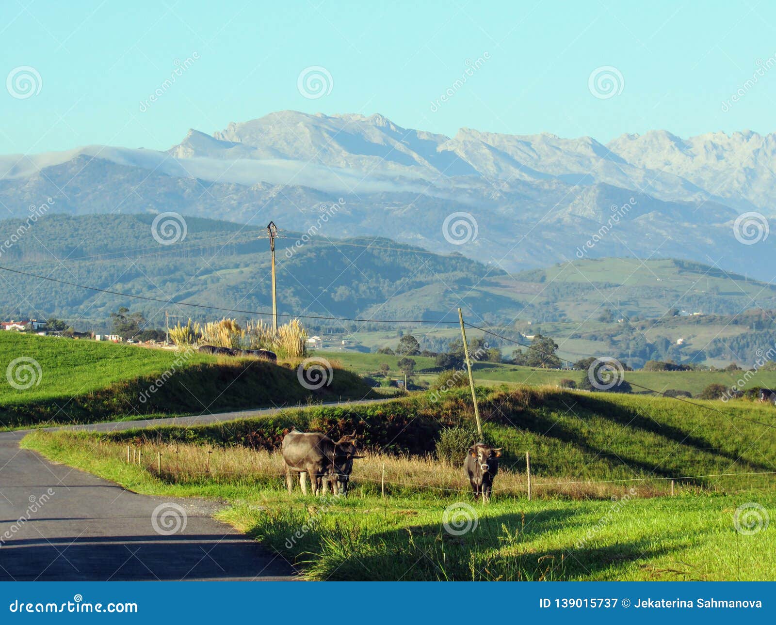 picos de europa mountain range along the northern coast of spain