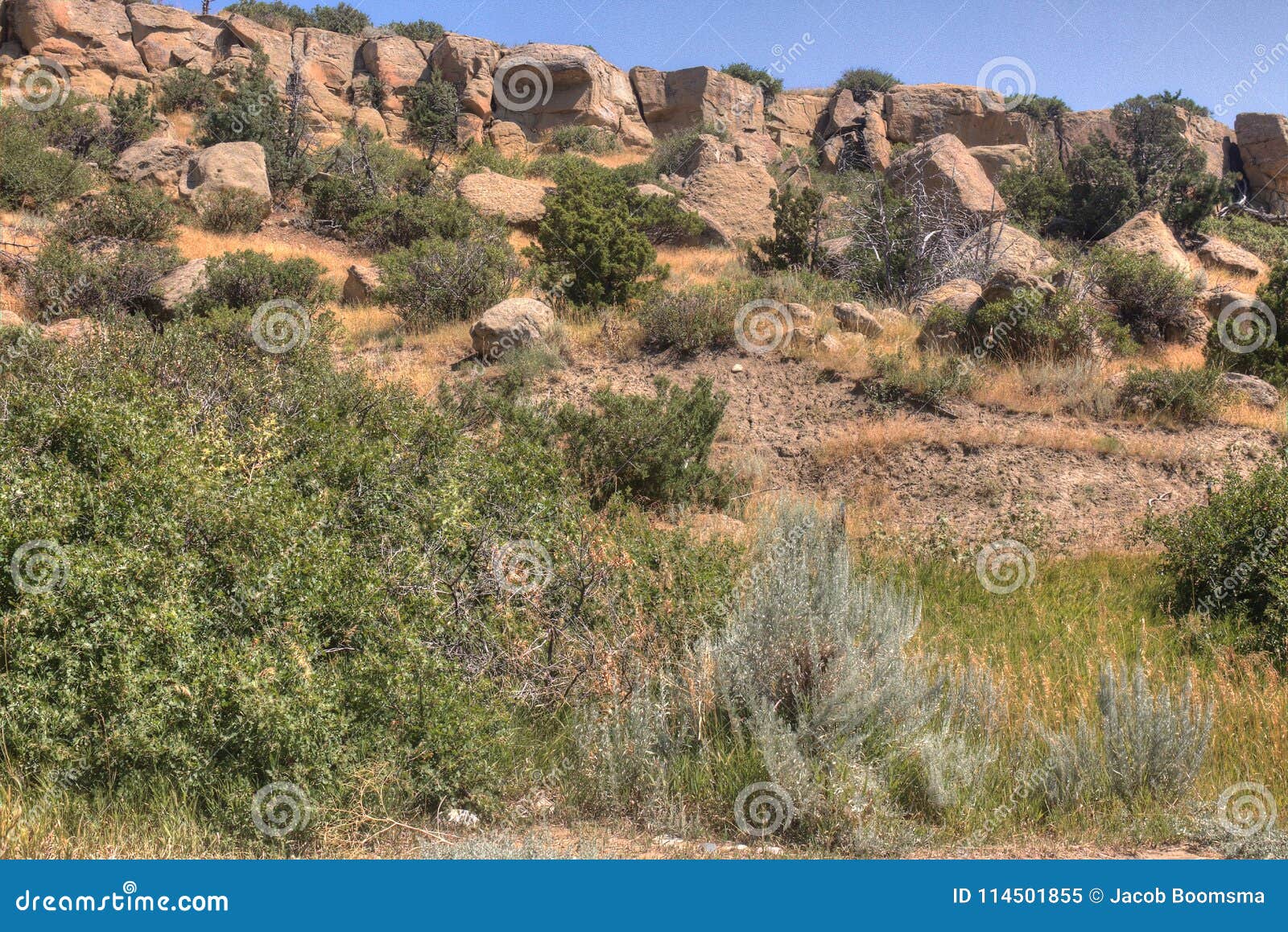pictograph state park outside of billings, montana in summer
