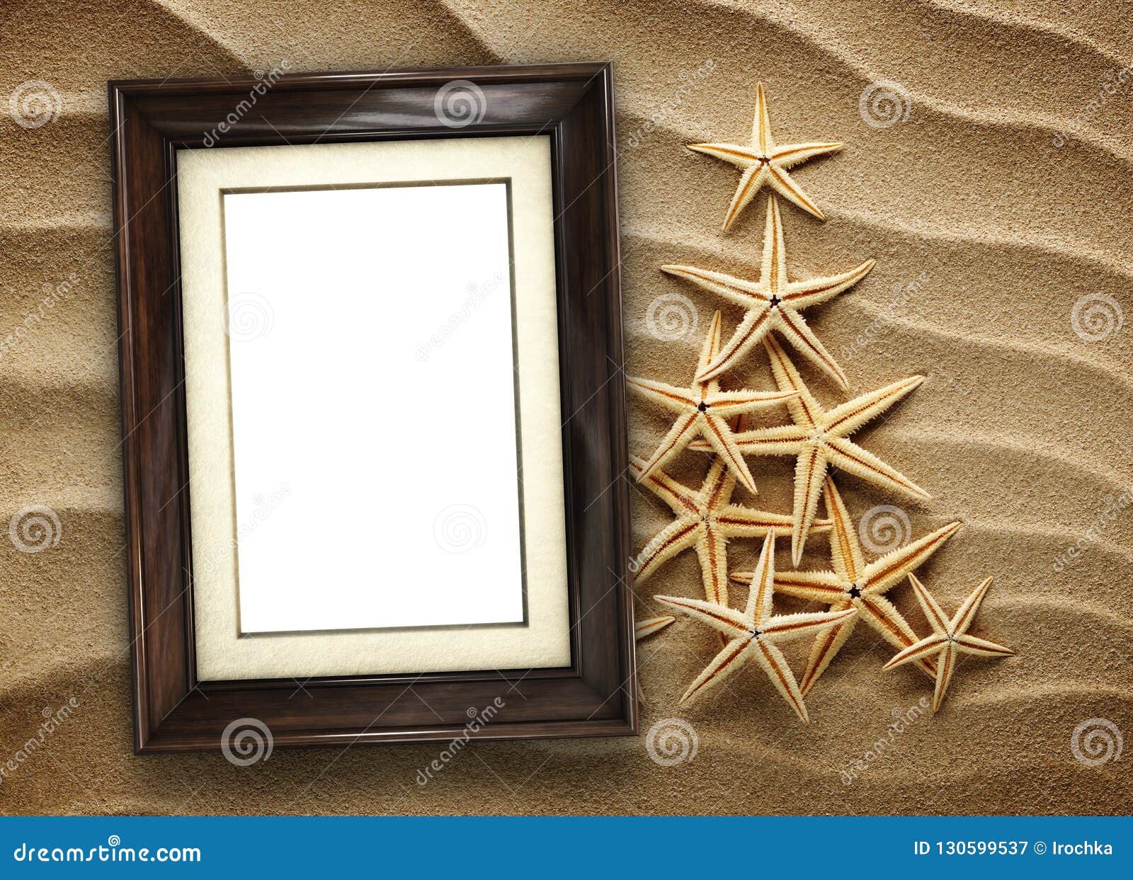 Picture Frame on Shells and Sand Background Stock Image Image of