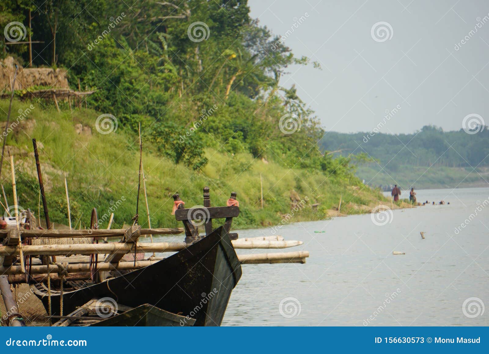 picture of the caught hilsa or hilsha boat on the banks of the river gorai in bangladesh
