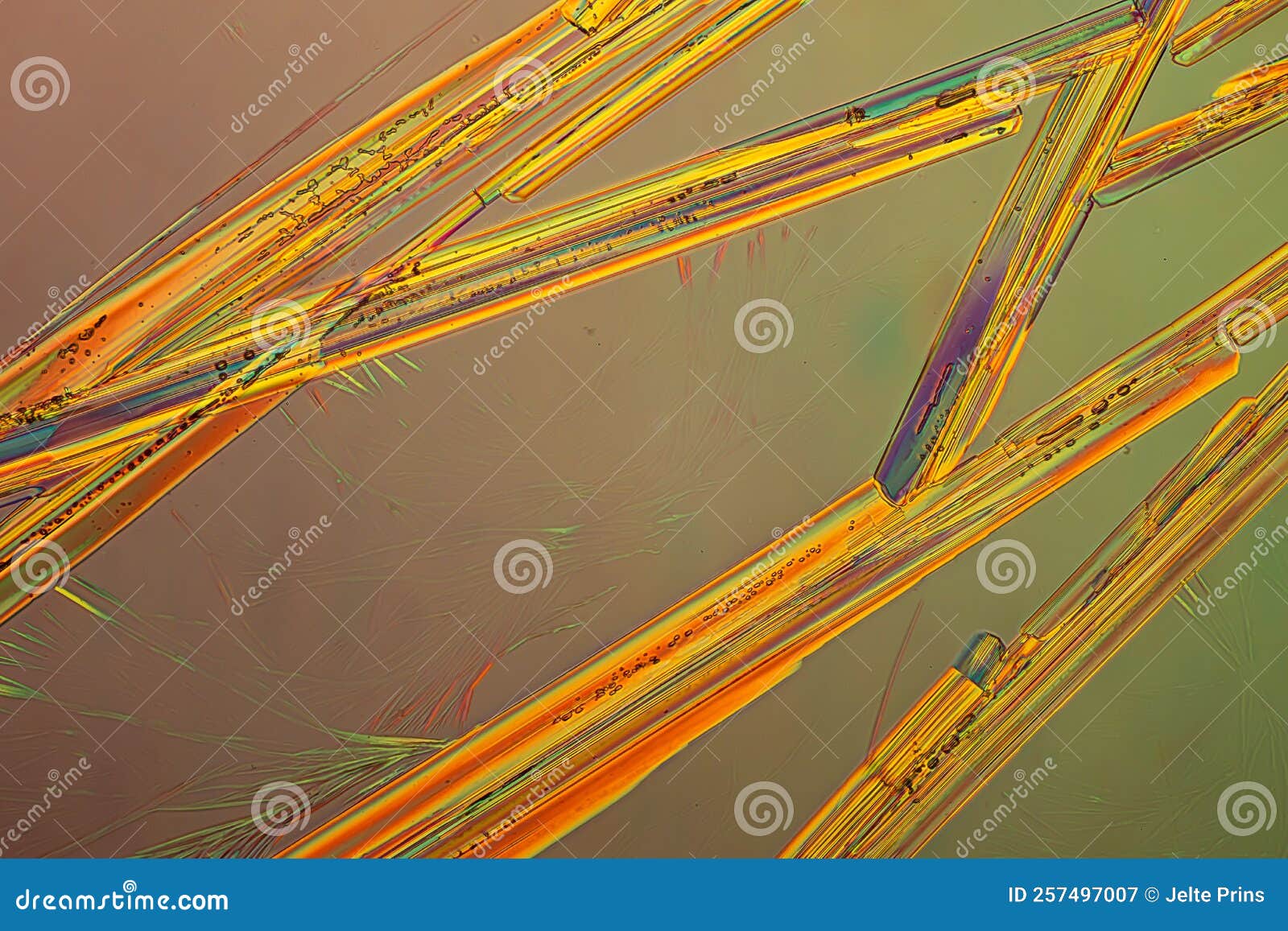 picture of the crystals of the chemical substance sodium platino cyanide made by a microscope in polarized light