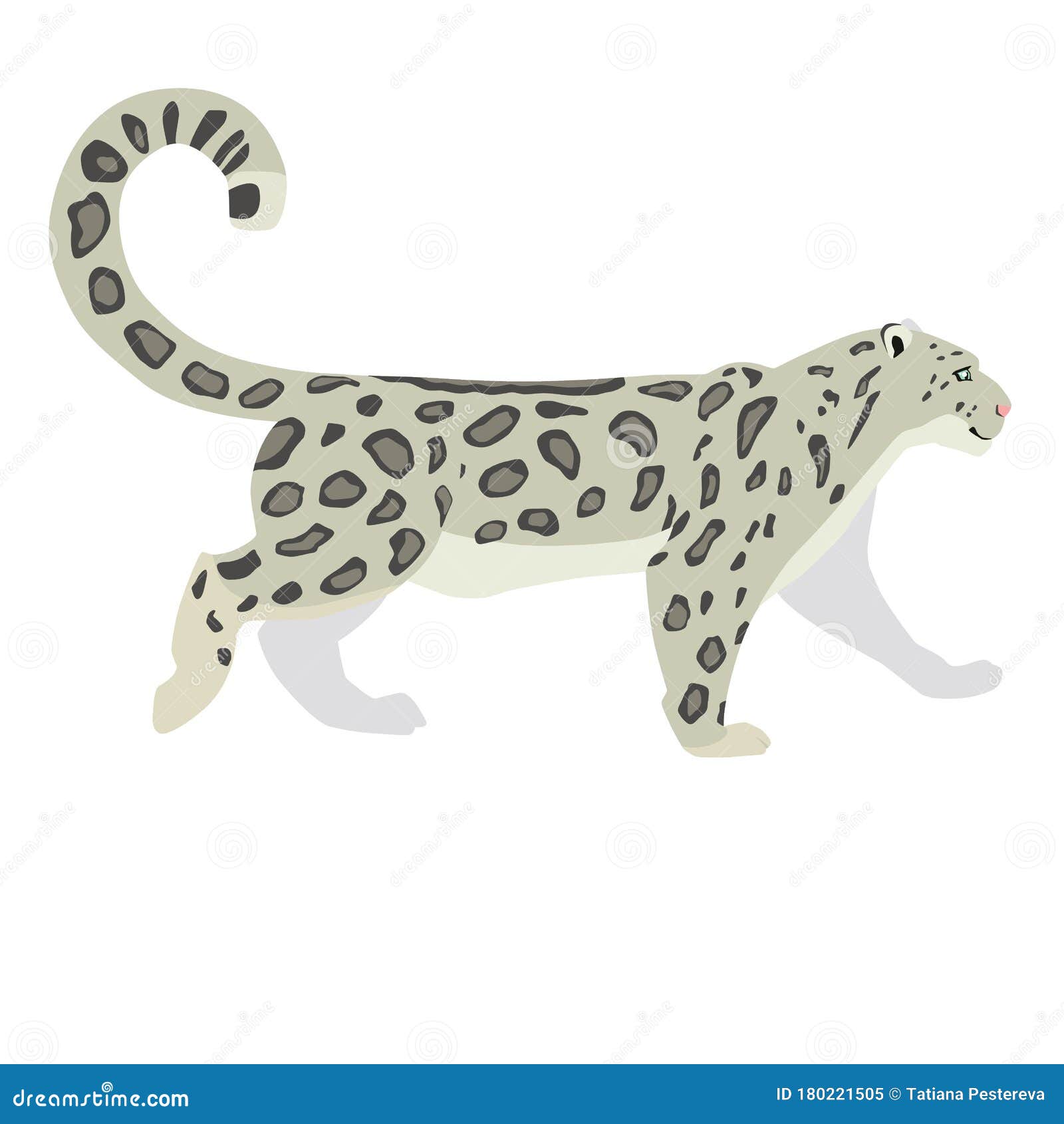 Snow leopard stock vector. Illustration of character - 180221505