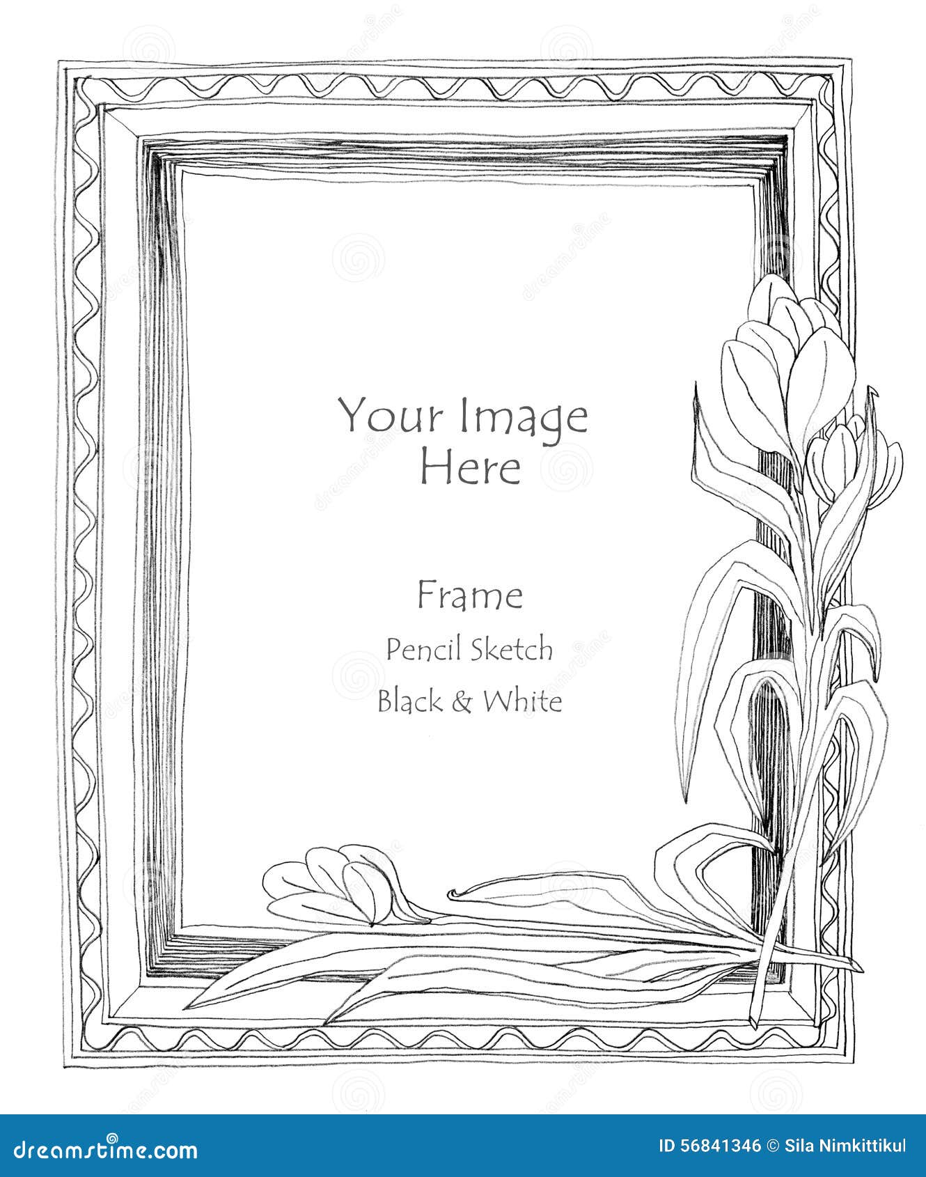 Picture Frame Flower Pencil Sketch Stock Illustration