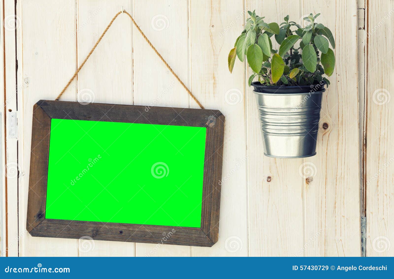 picture frame green screen pot plant wooden surface png available space to replace color easily your image 57430729