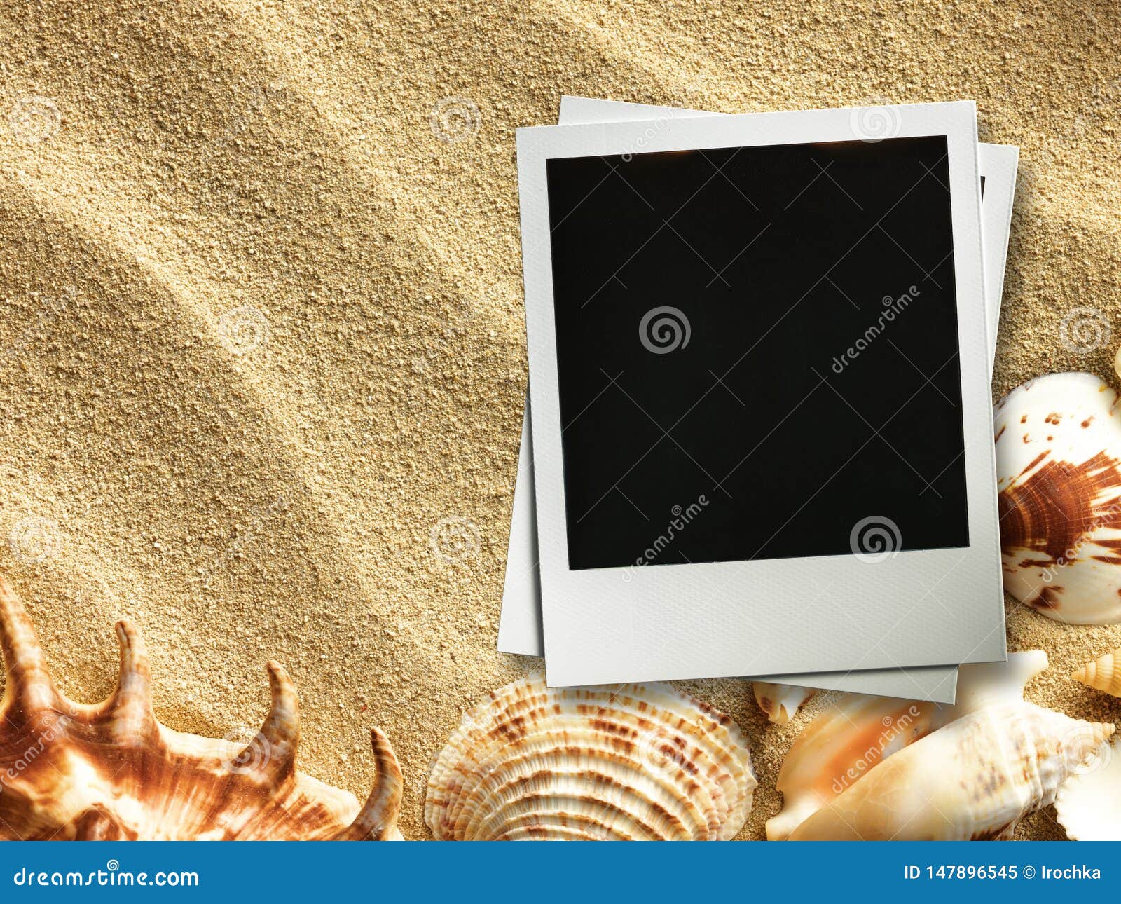 Picture Frame on Shells and Sand Background Stock Image Image of