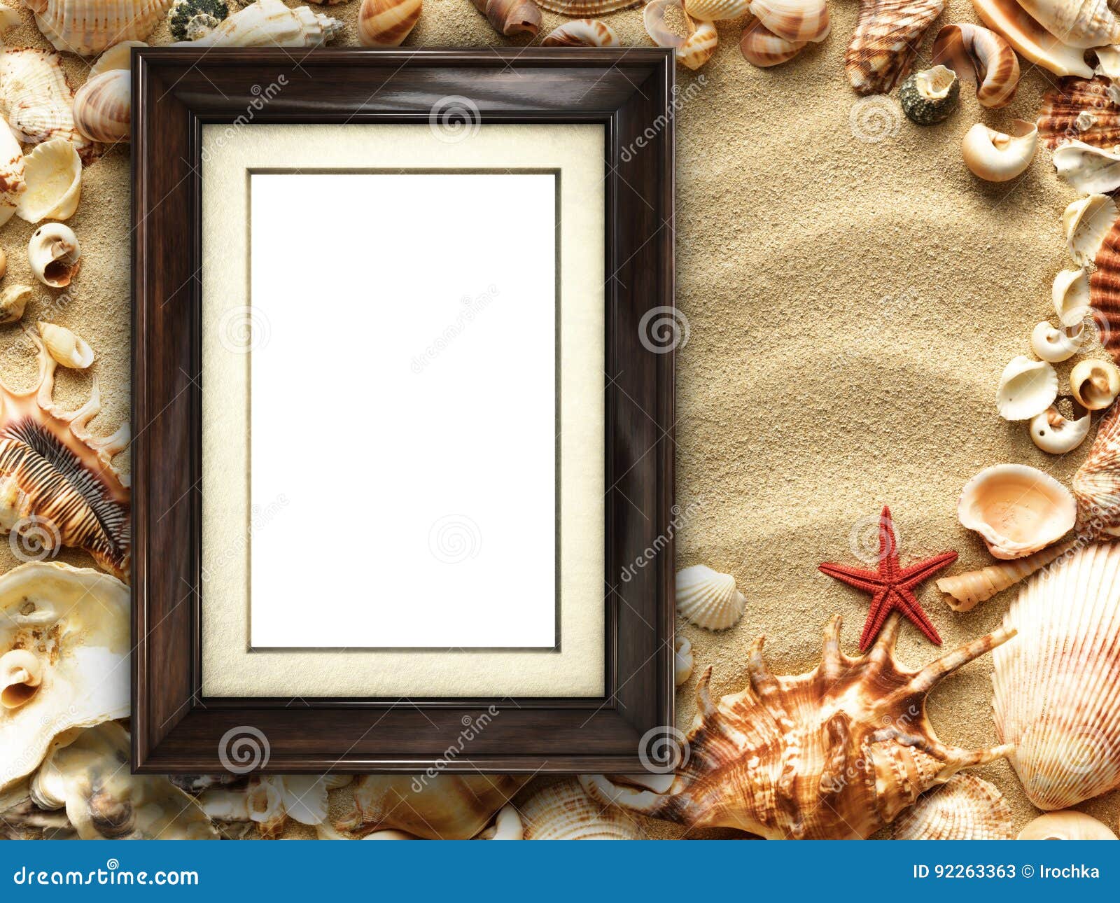 Picture Frame on Shells and Sand Background Stock Image - Image of