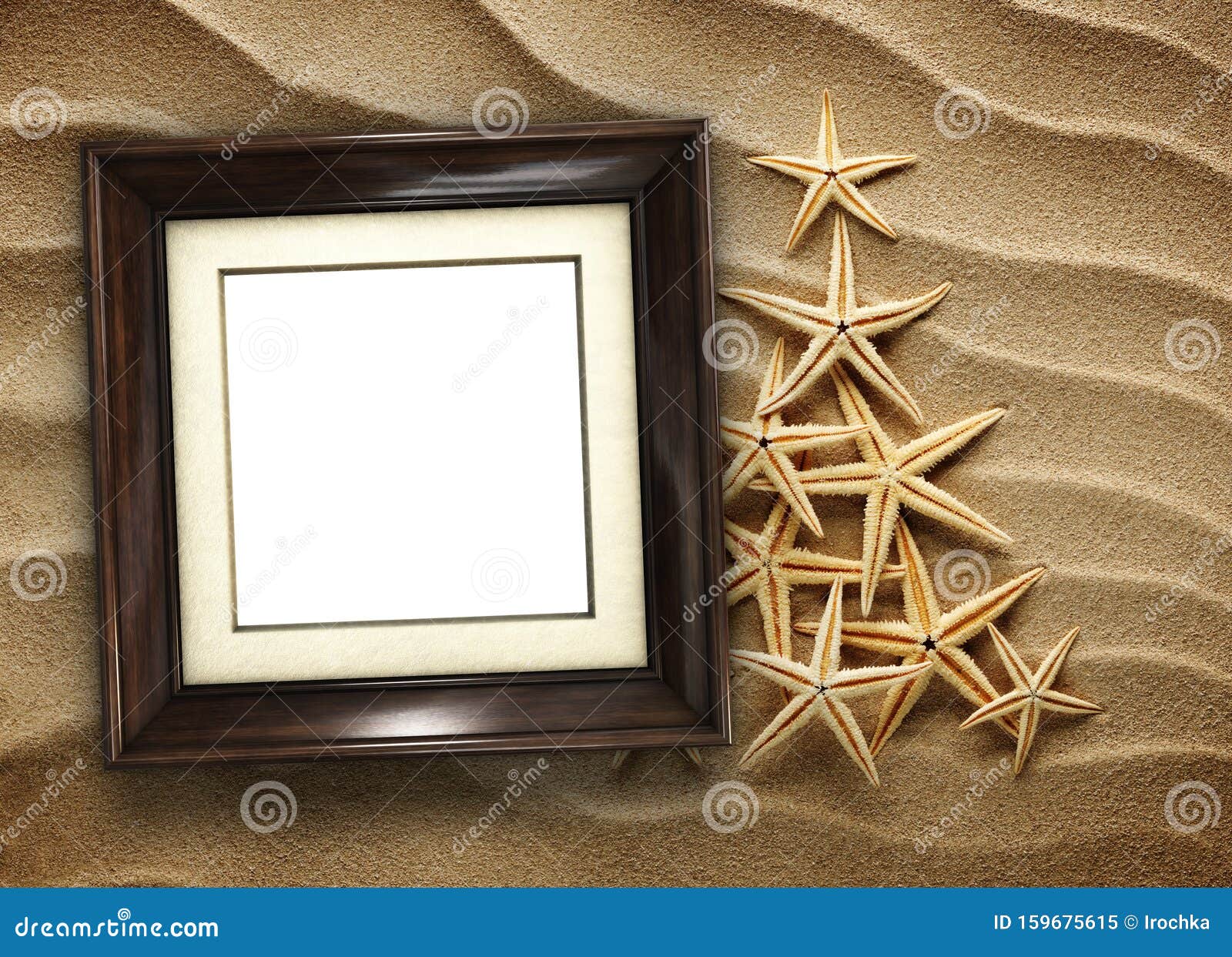 Picture Frame on Shells and Sand Background Stock Image - Image of
