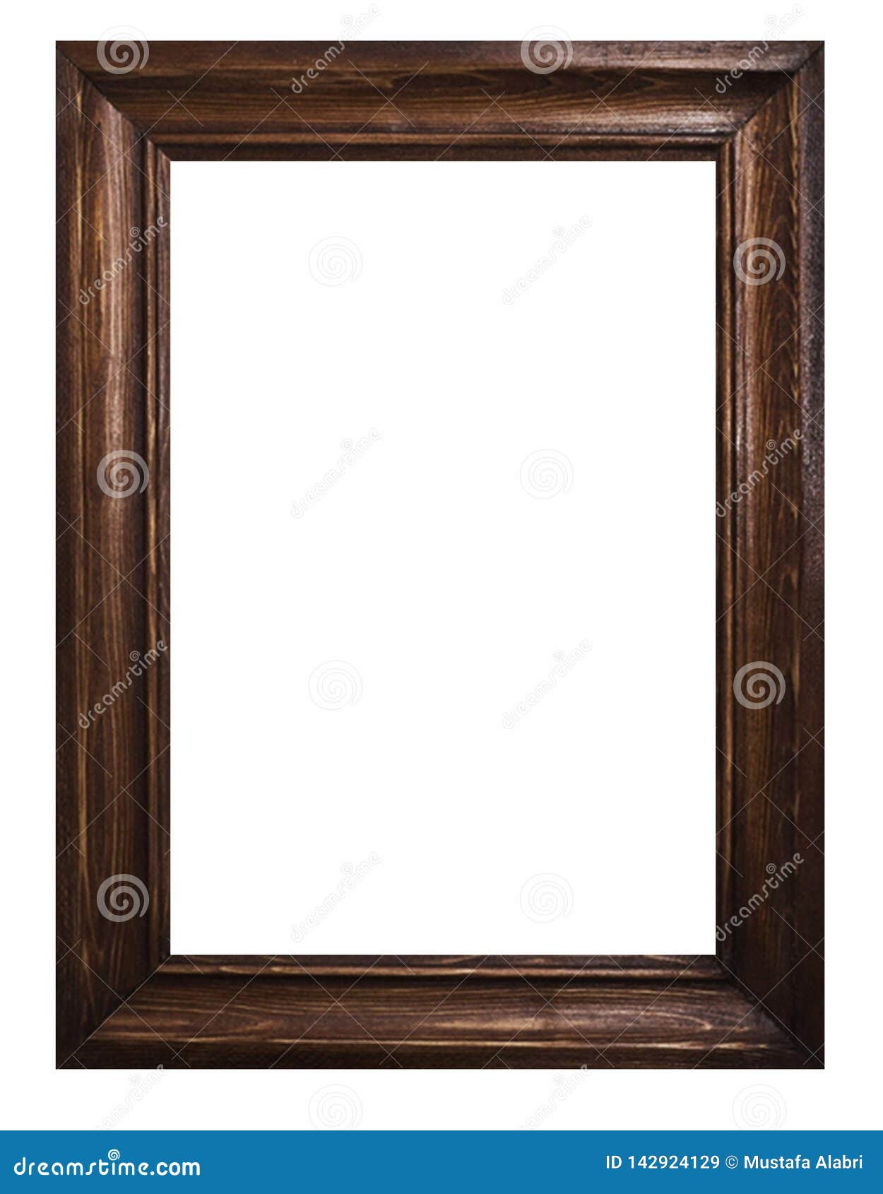 Picture Frame and White Background Stock Image Image of forest