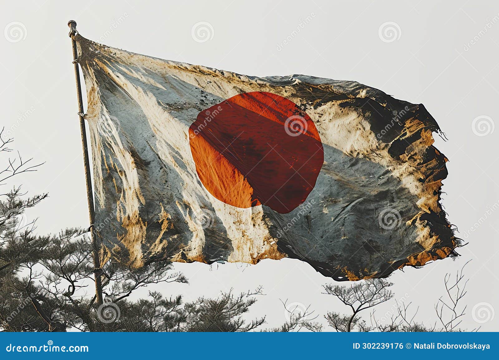 The Picture of Japanese Flag with Red Sun on White Background Stock