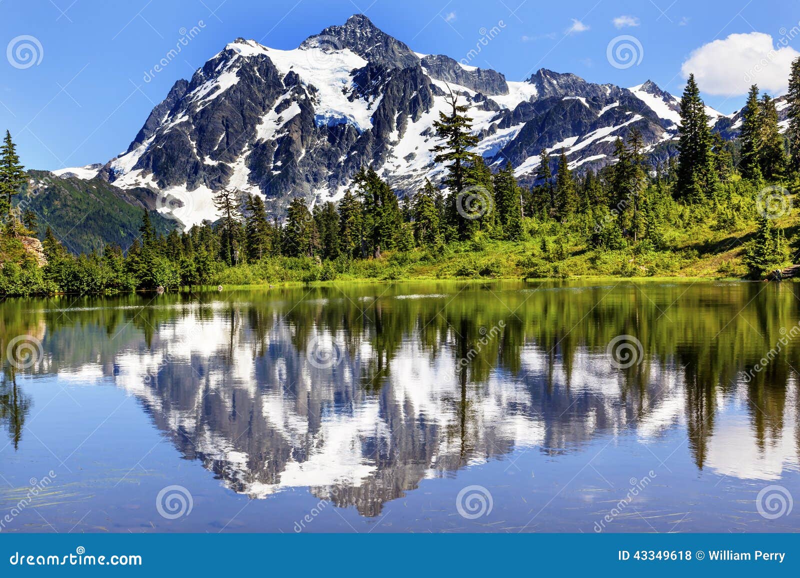 picture lake evergreens mount shuksan washington usa