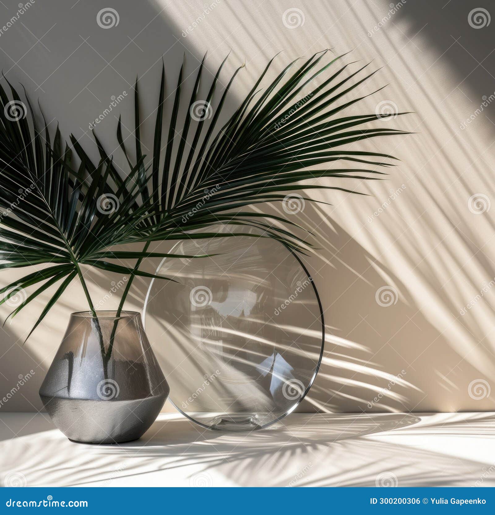 A Picture of a Large Palm Leaf in a Glass Vase Stock Photo Image of