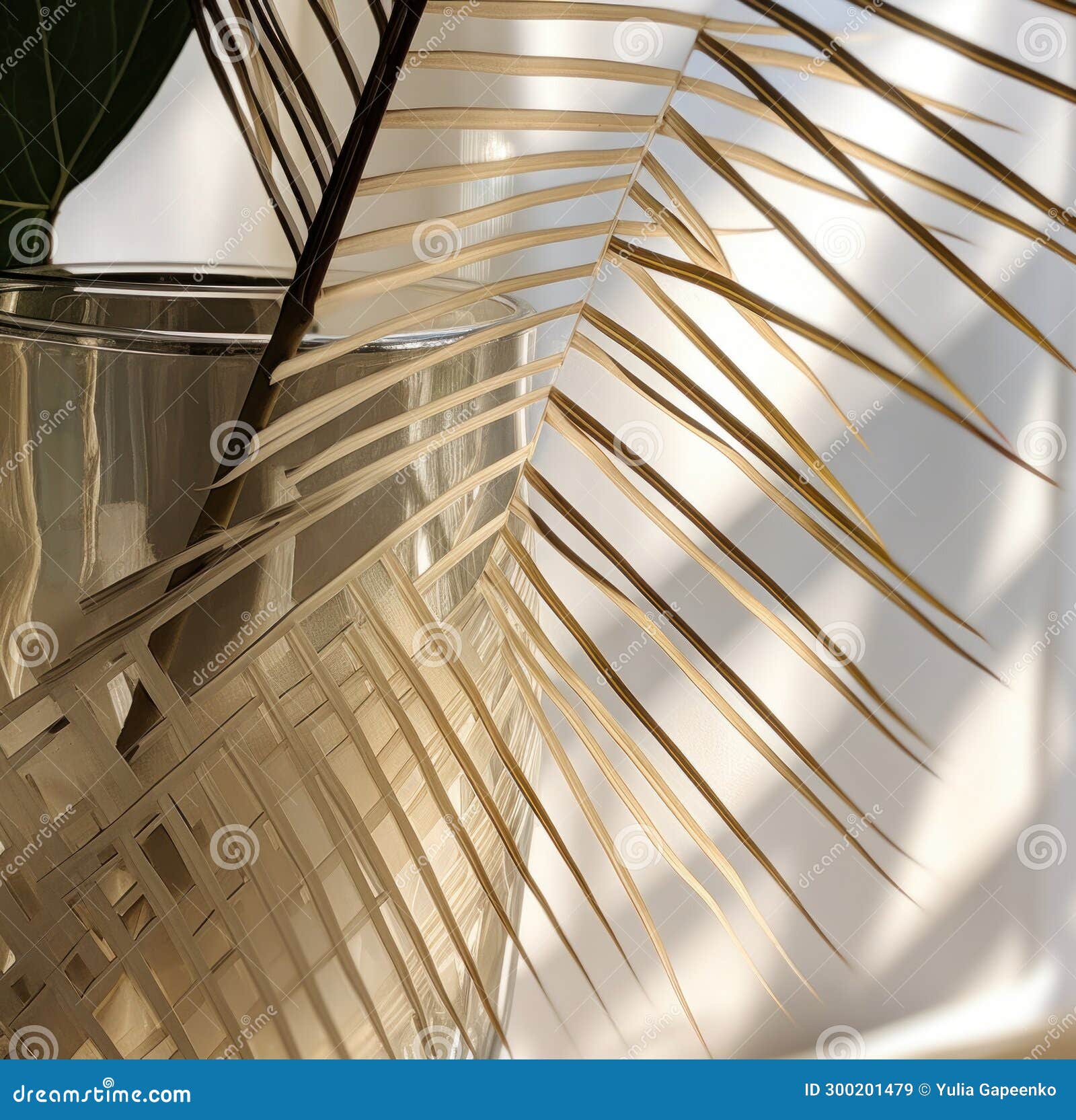 A Picture of a Large Palm Leaf in a Glass Vase Stock Image Image of