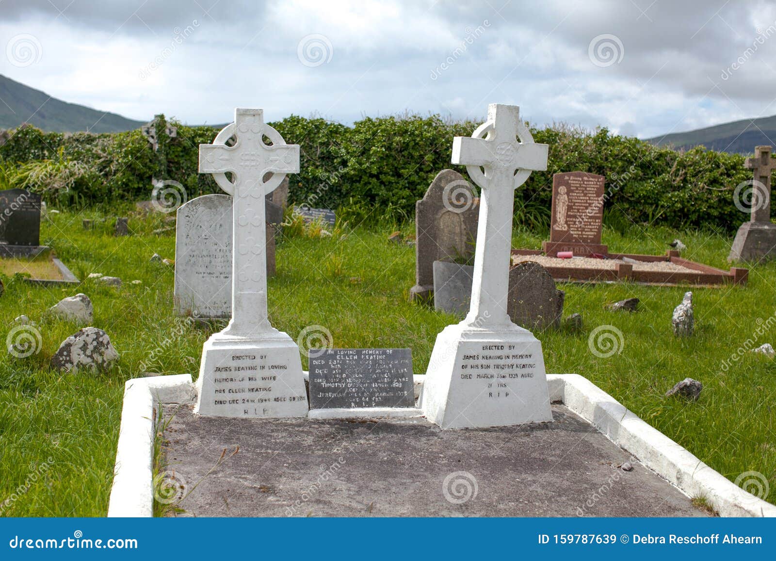 Irish Celtic Cross in Graveyard Country Setting Editorial Stock Image ...
