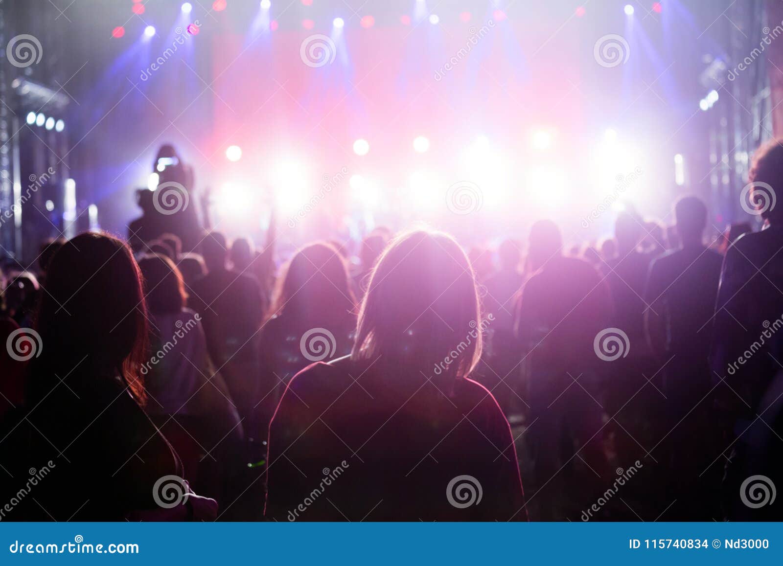 Picture of Party People on Music Festival Stock Photo - Image of ...