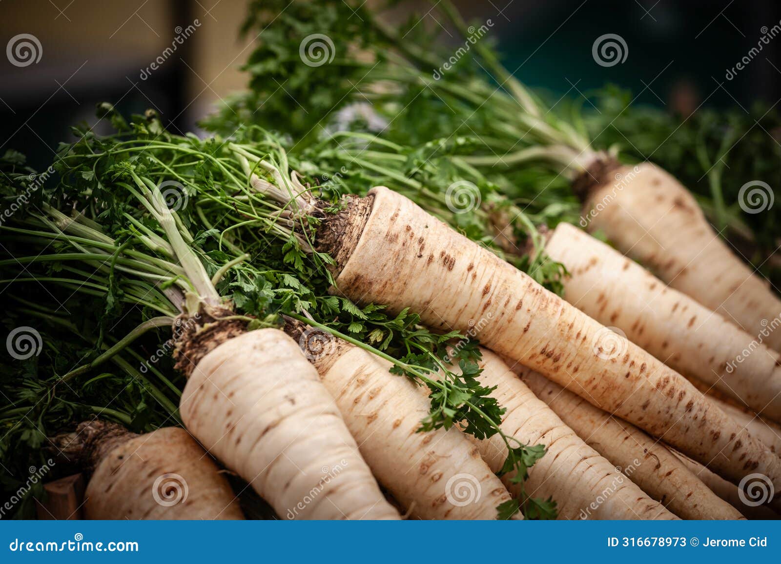 selective blur on parsnip roots for sale on a serbian market in belgrade. parsnip, or pastinaca sativa, is a white vegetable root
