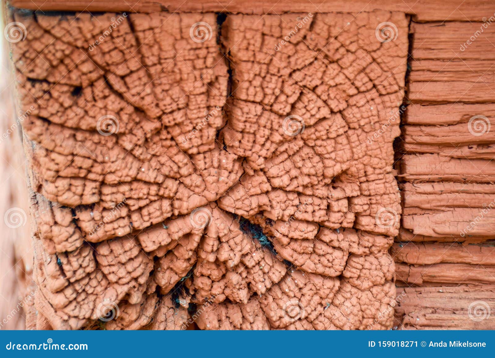 picture with scandinavian-style red very old wooden house, wooden tile roof