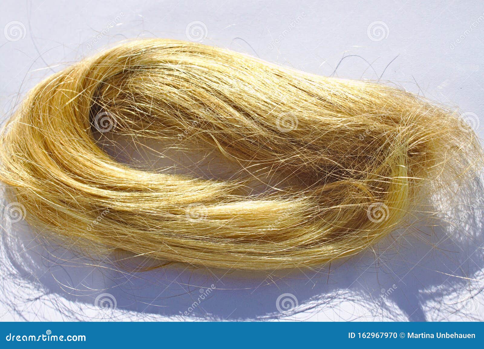 Blonde Hair Strand on the Floor Stock Photo - Image of strand, paper