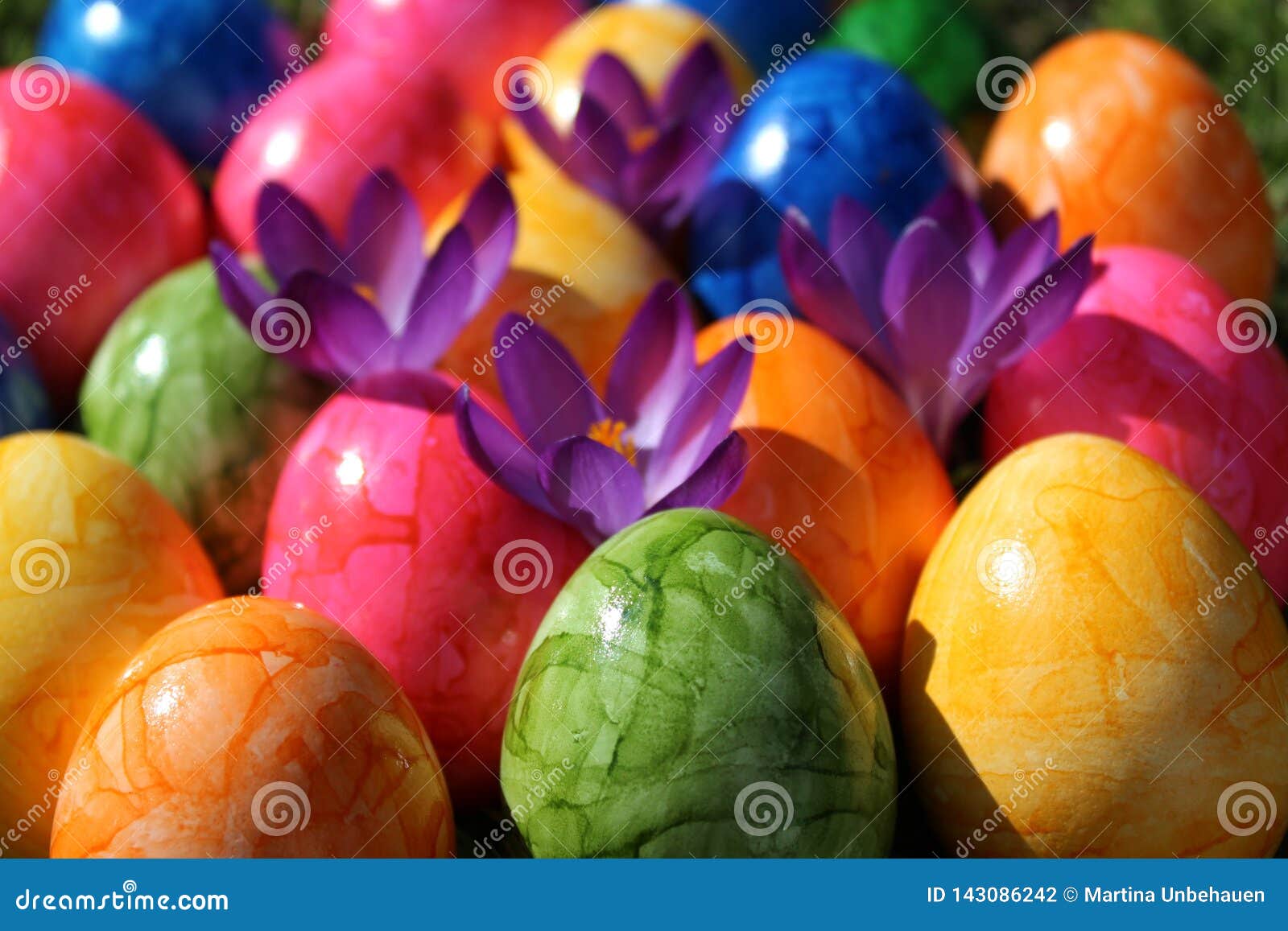 happy easter greetings with eastereggs and crocuses