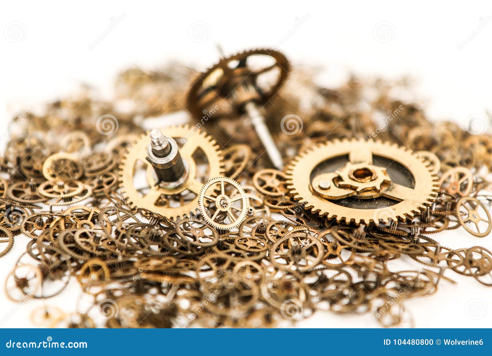 Small Batch Of Shiny Cogwheels Stock Photo Image Of Glossy