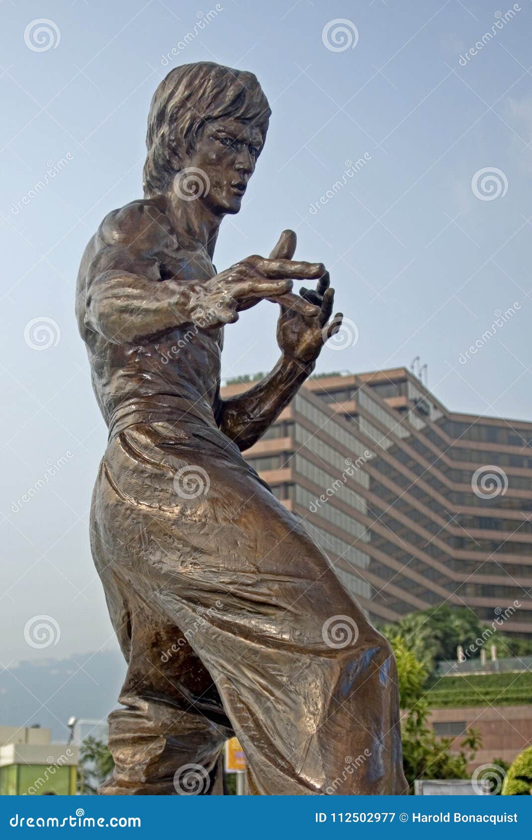 Statue of Bruce Lee in a Martial Arts Pose Editorial Photography - Image of  martial, arts: 112502977