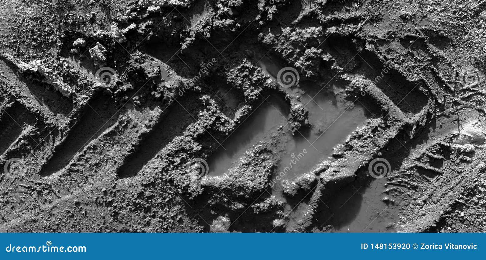 tracktor print in dirt