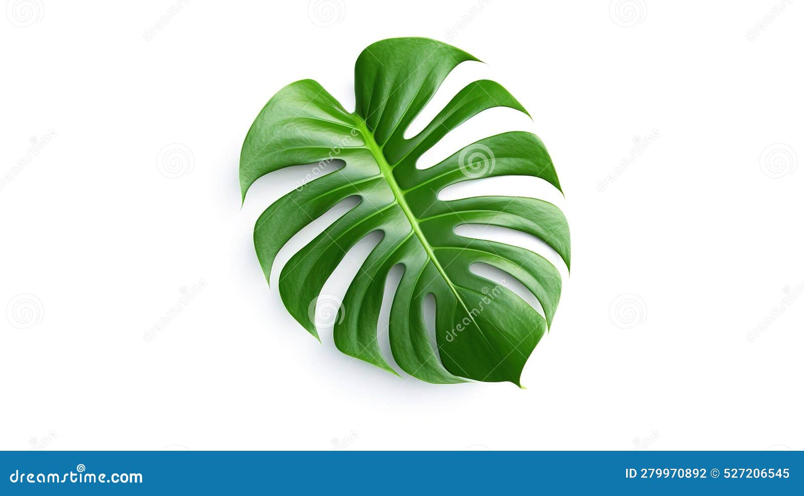 Tropical Leaves on a White Background.AI Generated Stock Illustration
