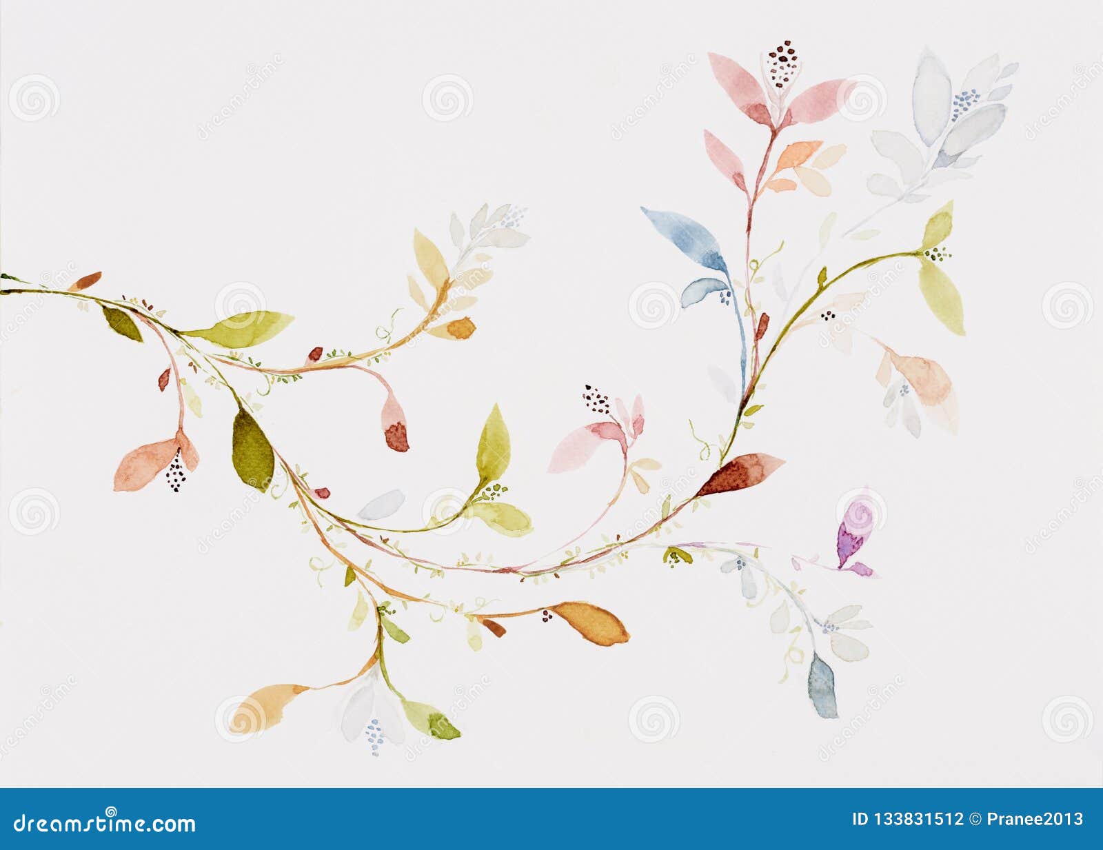 picture water colour, hand draw, flowers, leaves, branches, ivy