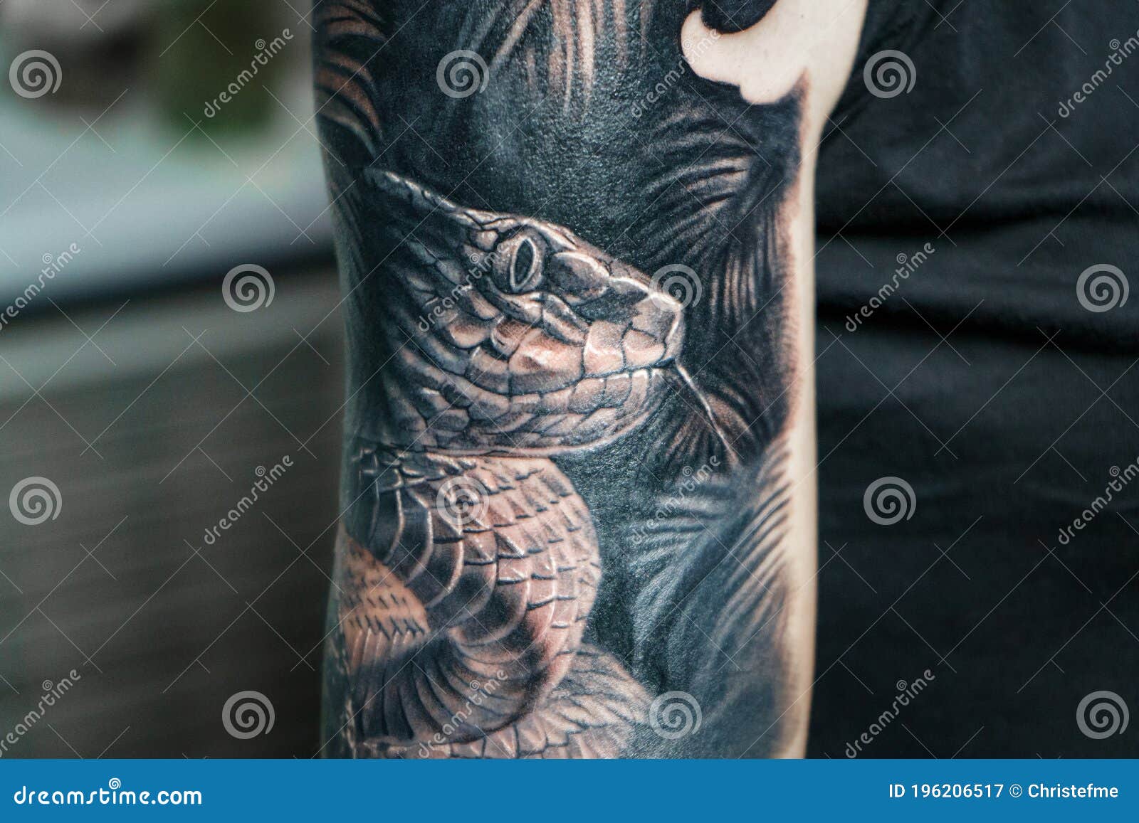 Snake on a forearm by tattooist Alejo GMZ  Tattoogridnet
