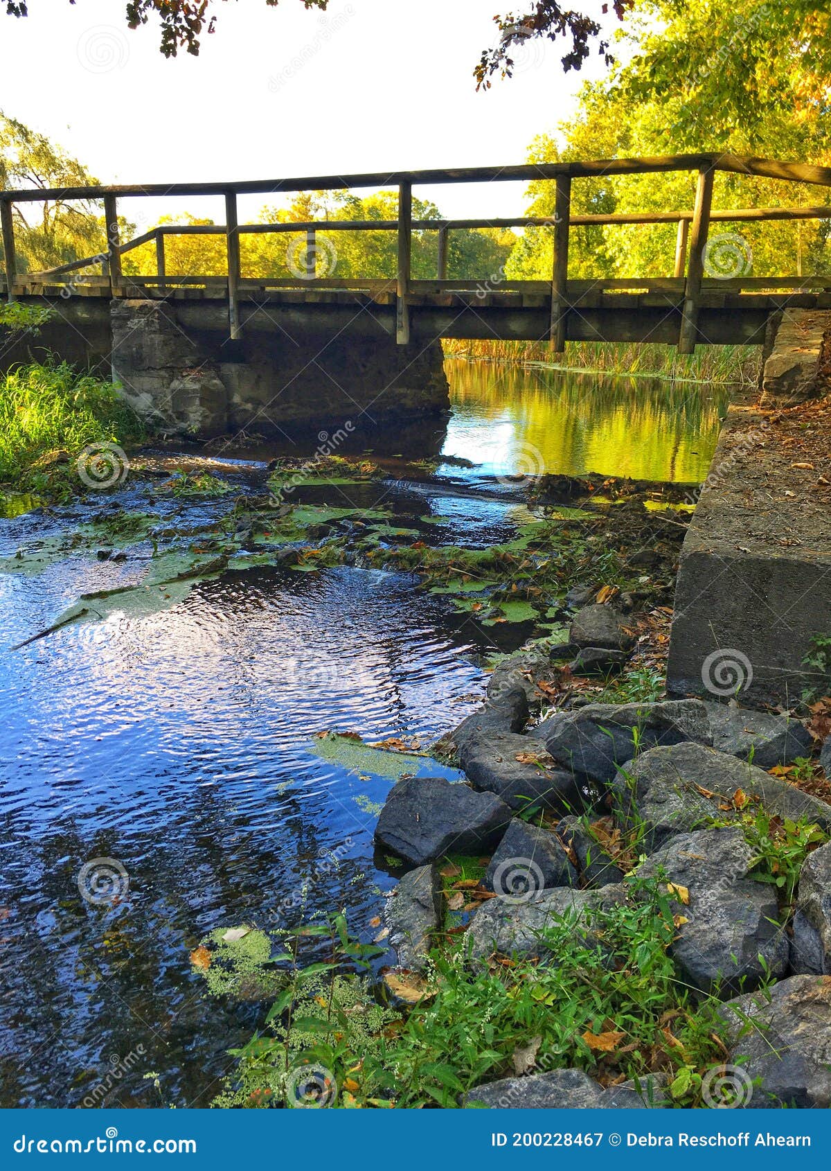 Wooden Bridge in the Eleanor Roosevelt National Historic Site Stock ...