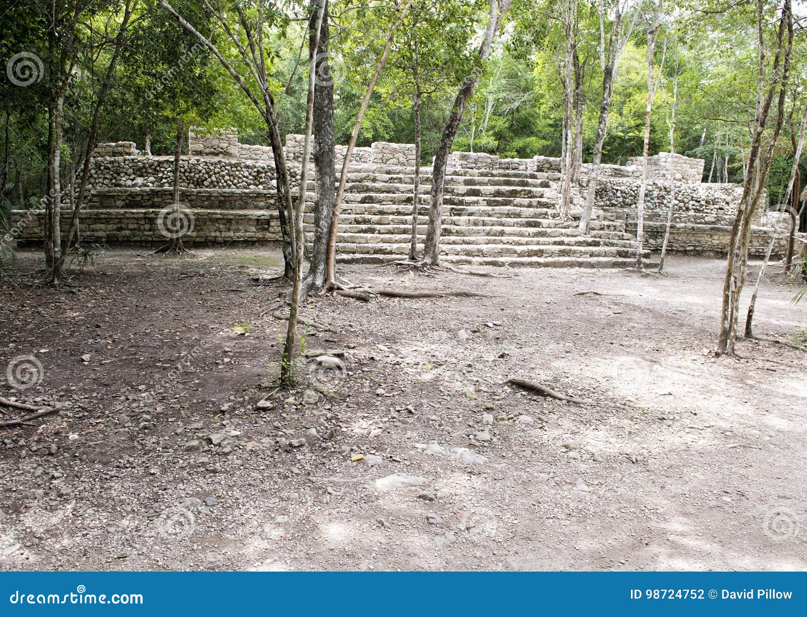 ruins in the coba zona arqueologica