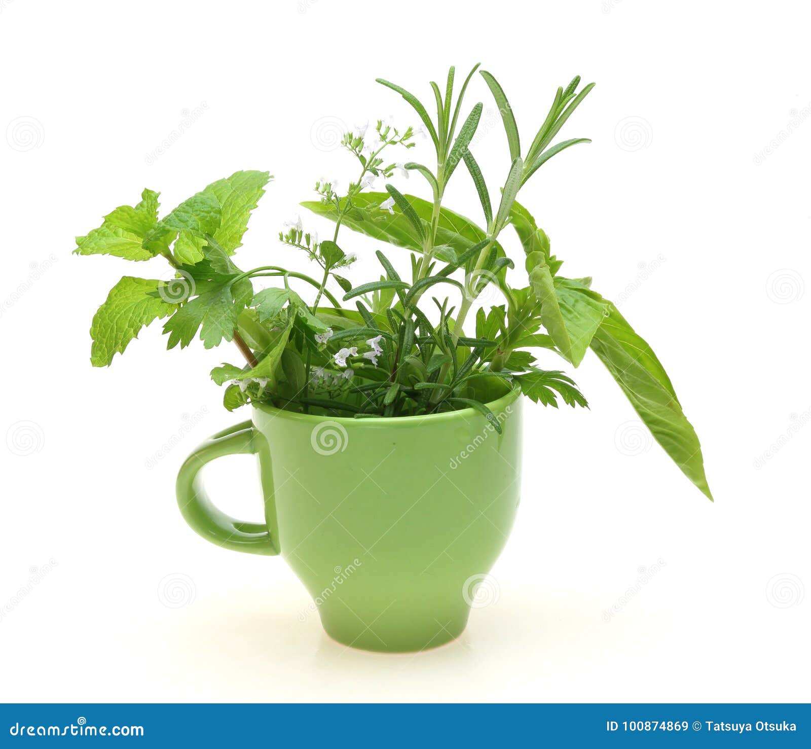 Herbs in a flowerpot stock image. Image of indoor, peppermint 100874869