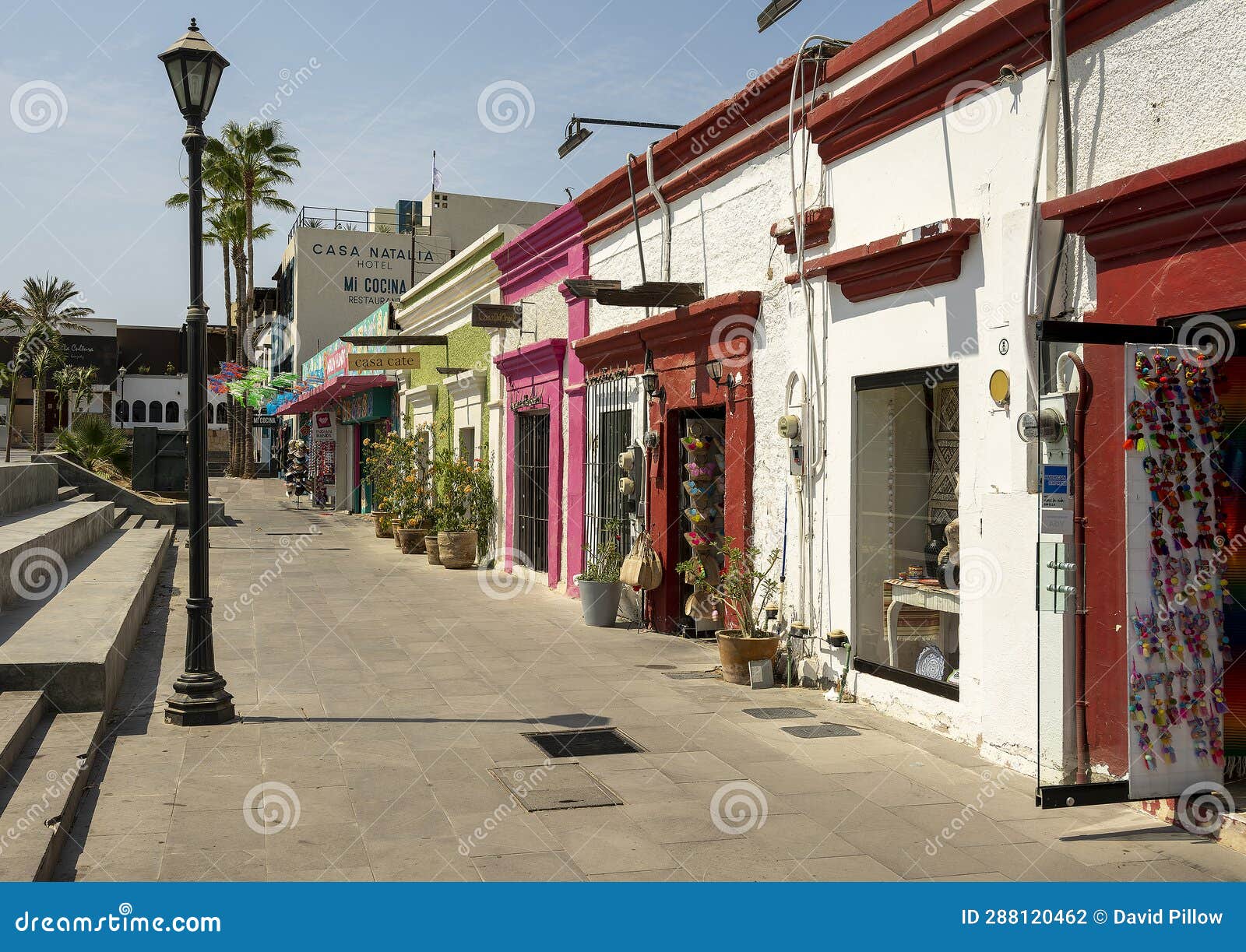 Shops and Plants Along the Sidewalk on One Side of the Main Square of